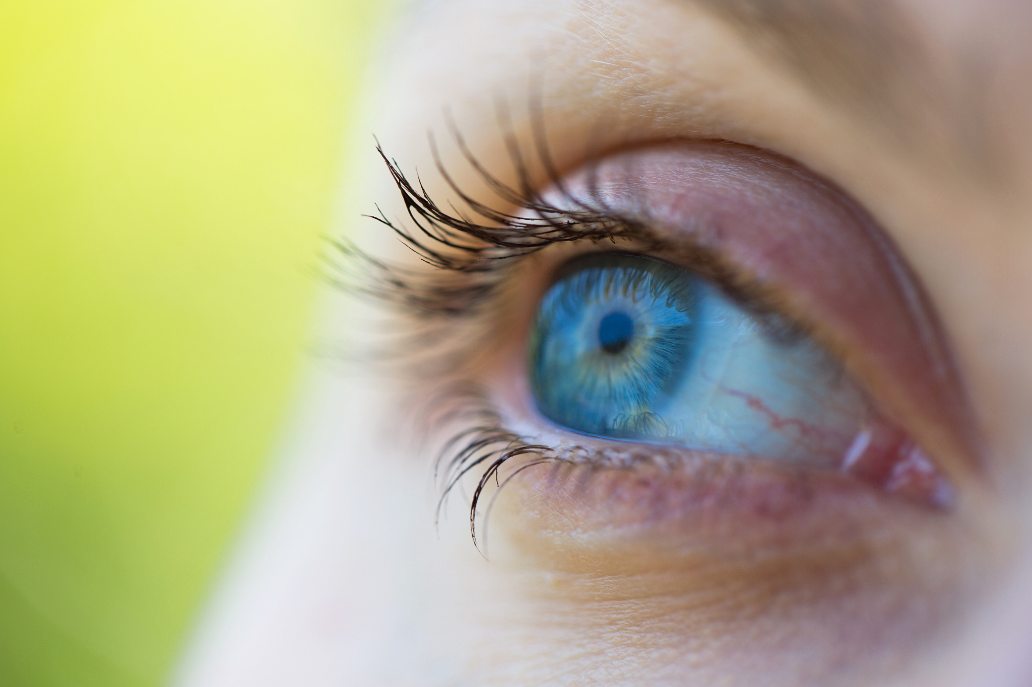 focus on blue eyes