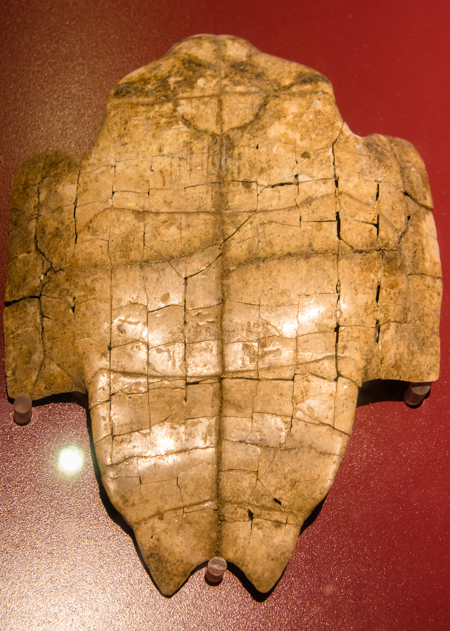 甲世是什么意思_词语甲世的意思