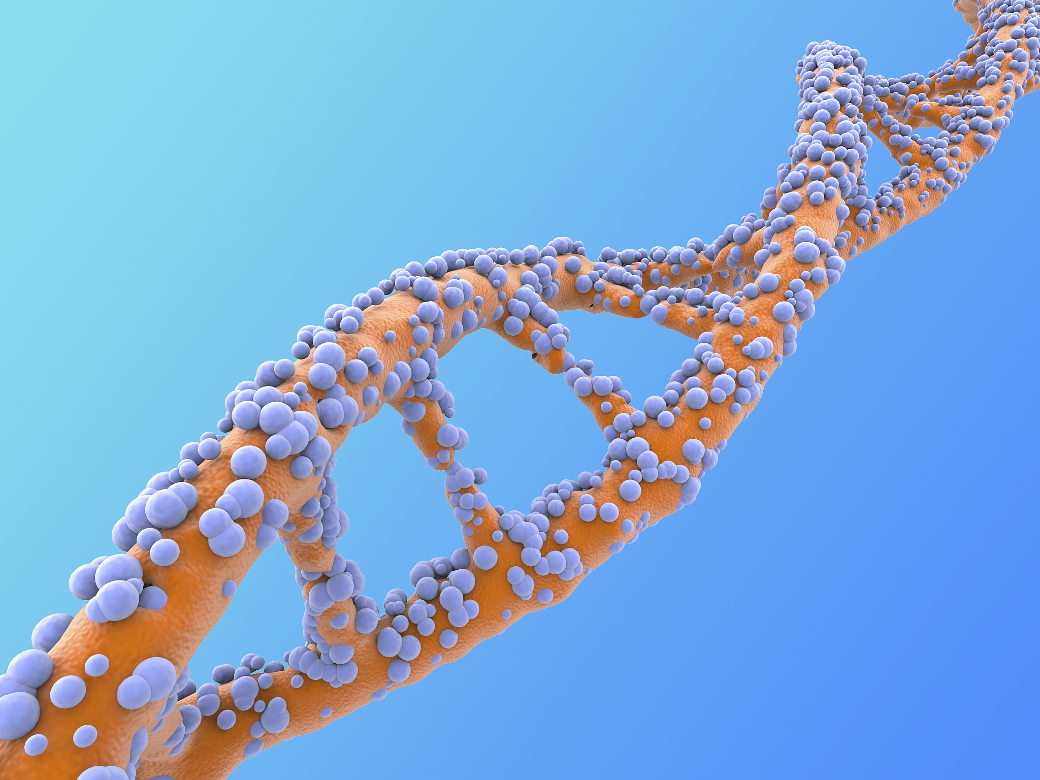 工程化启动子：实现细菌中任何拷贝数下稳定基因表达