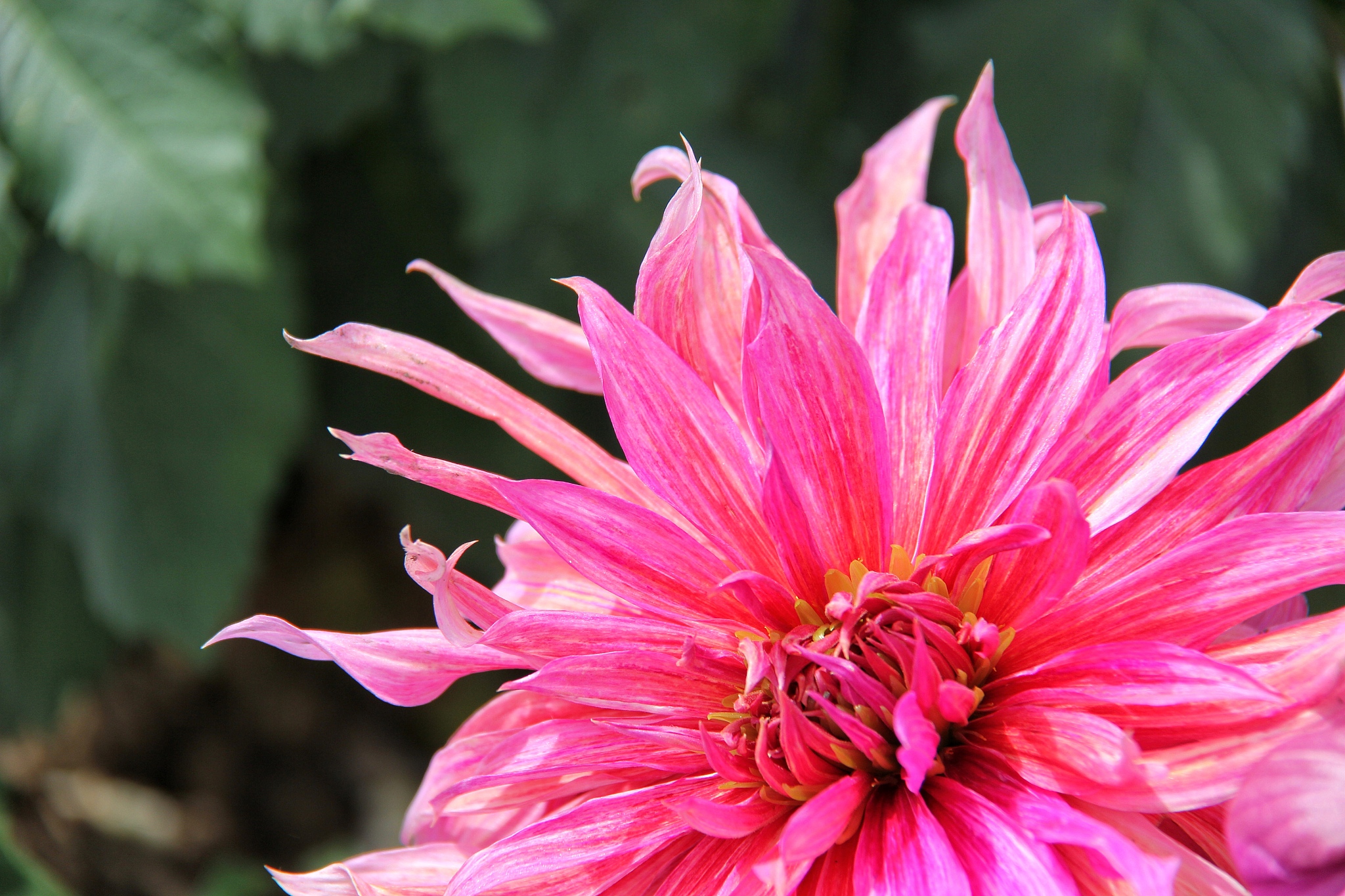 临洮农业学校园林技术专业需要有哪些基本能力？