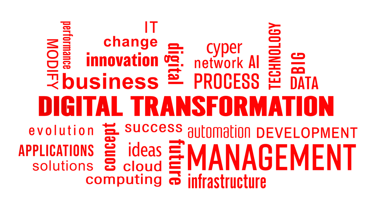 Flutter 文字高度计算技巧：fontSize 和 height 属性详解