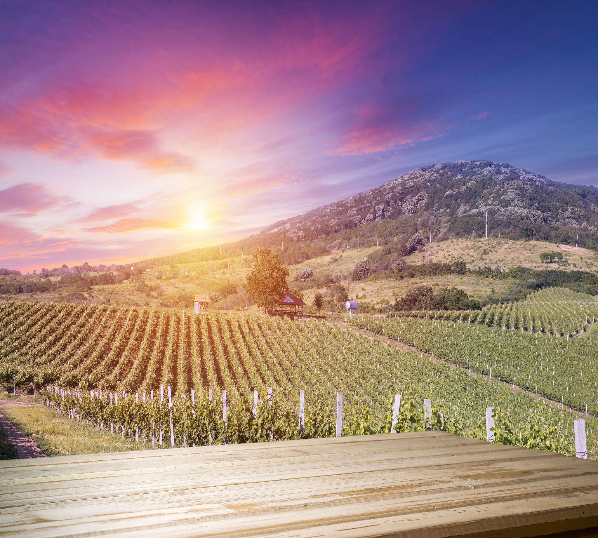 写以想要品尝顶级红酒？这些爆款酒庄一定让你大呼过瘾！为标题的爆款视频脚本 字数在150个左右