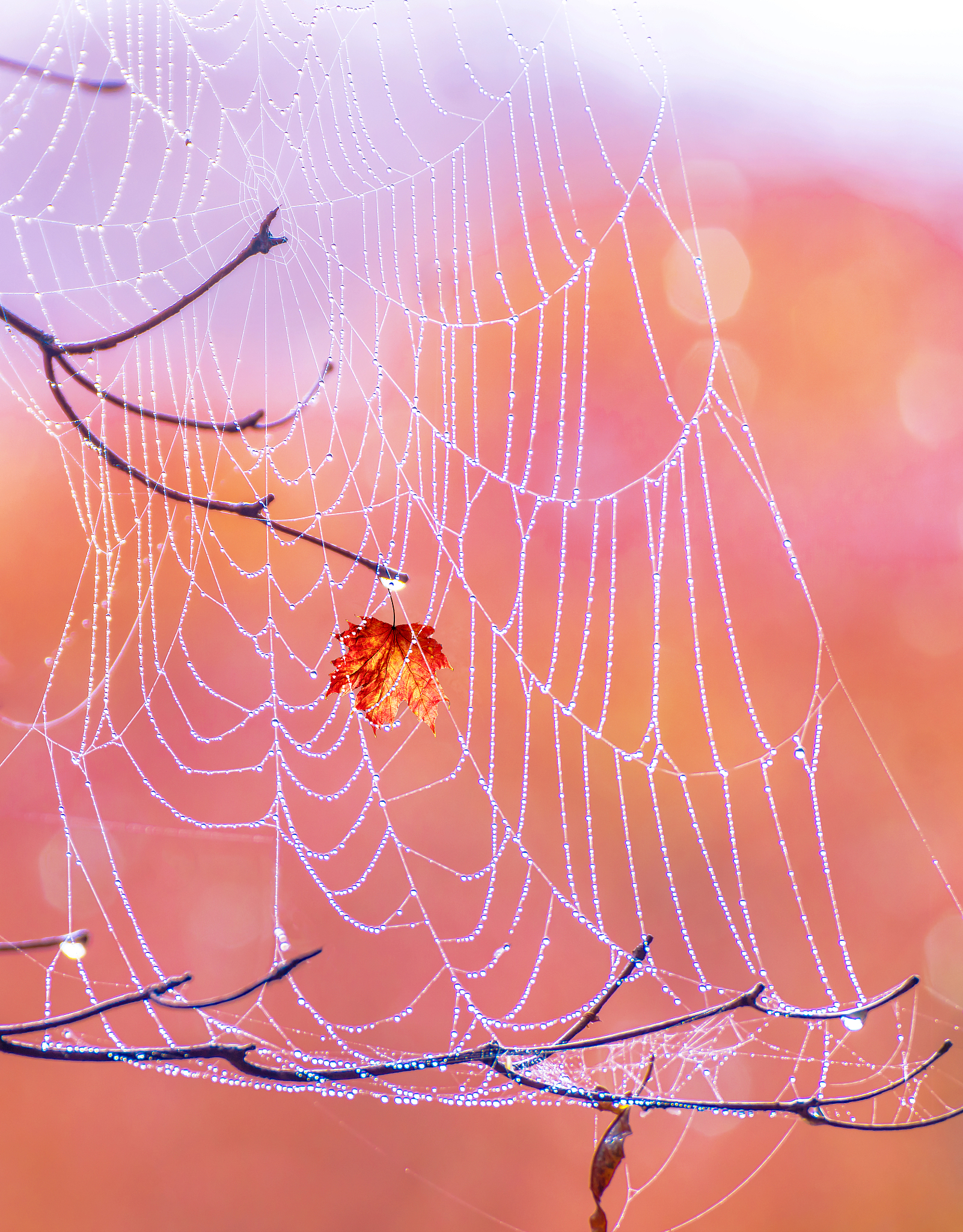 巴中中专学校就业排名：哪所学校毕业生更容易找到工作？