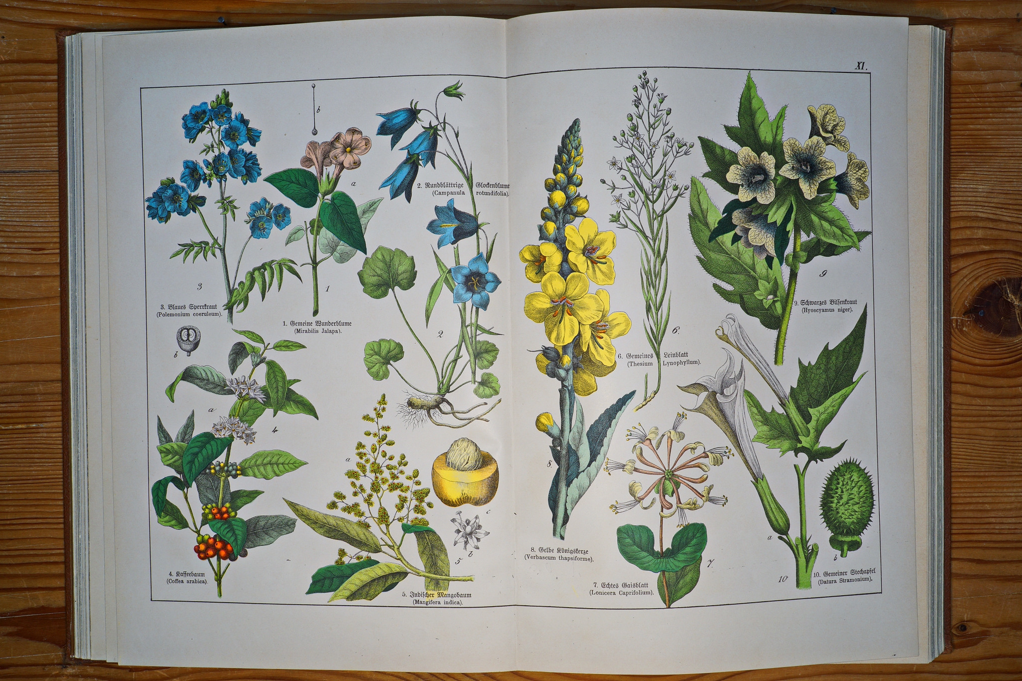 BIOLOGIA PLANTARUM期刊研究范围详细介绍