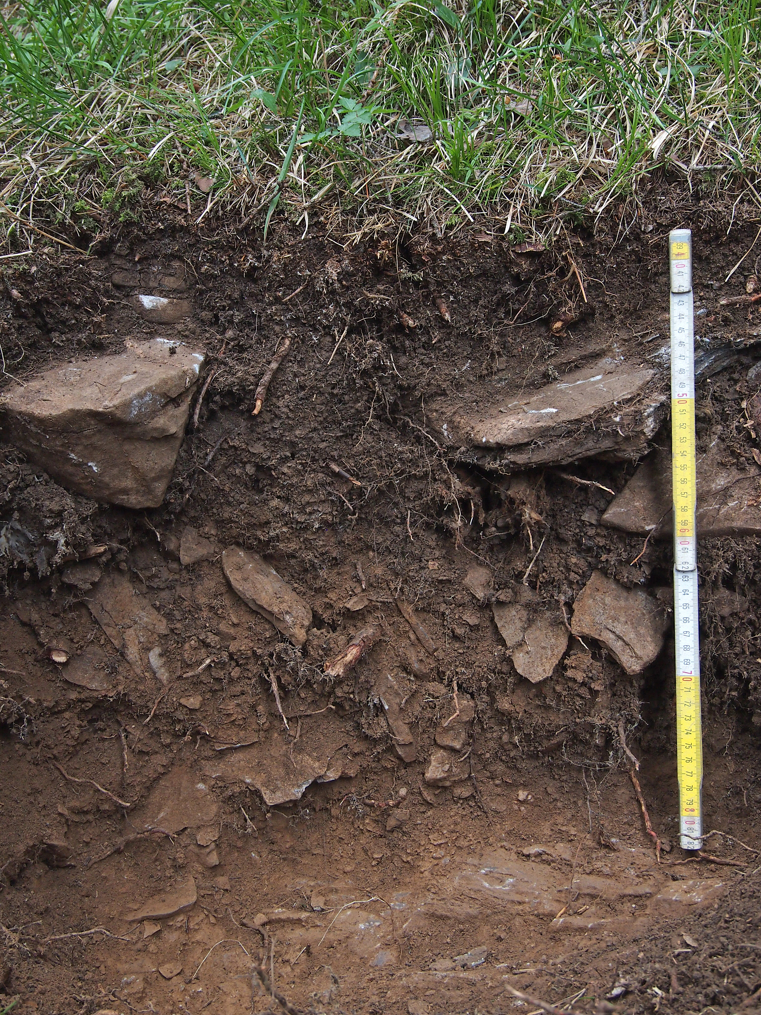 地表基质调查监测内容、技术方法及手段