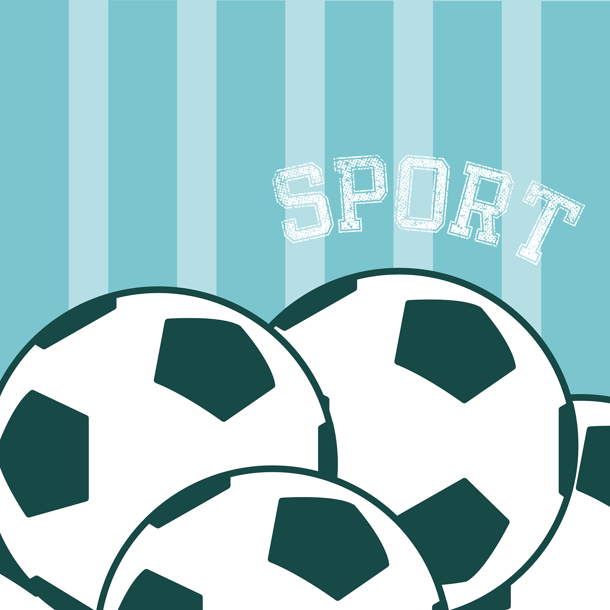 sport soccer balls