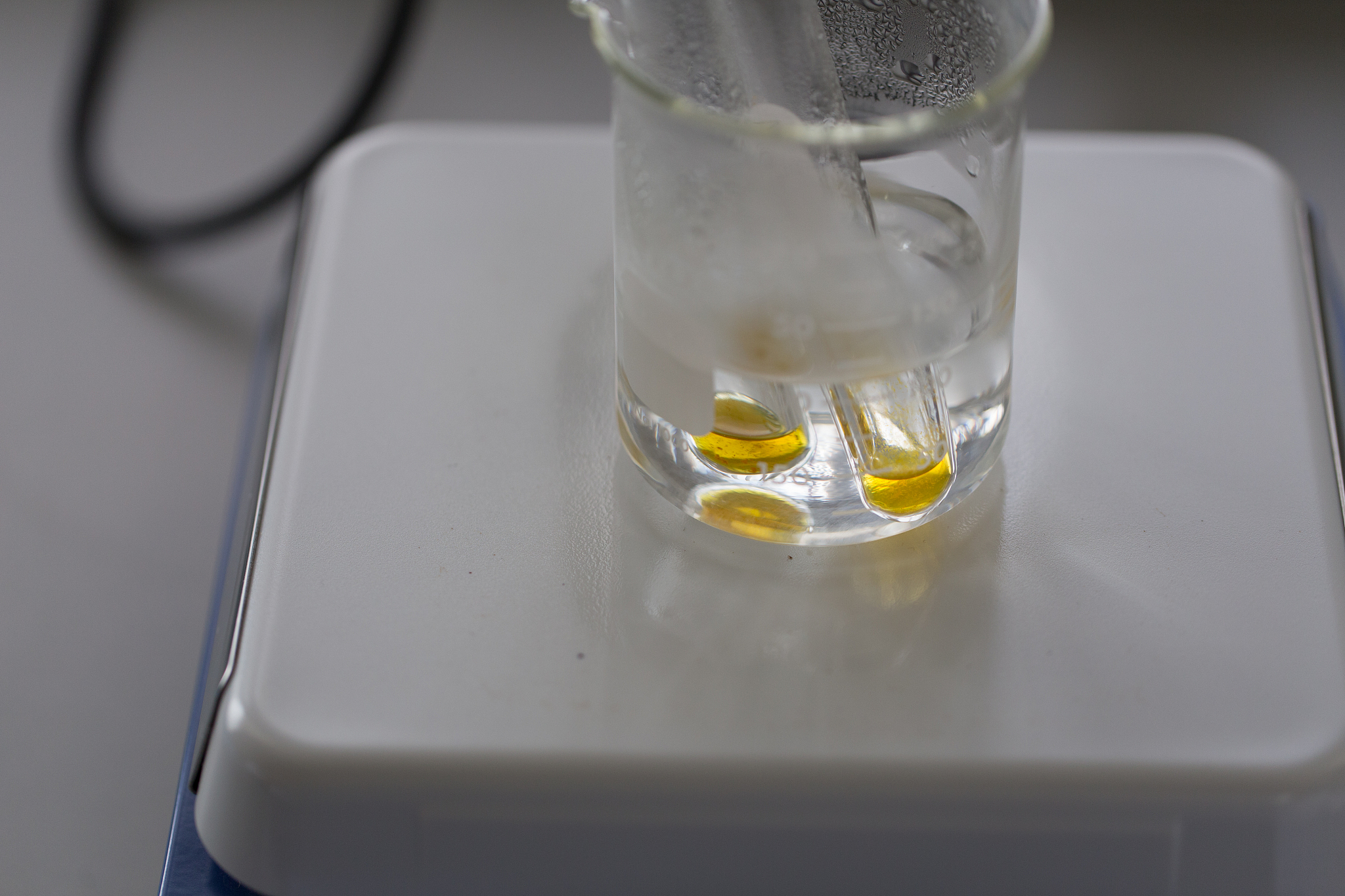 肌糖原的酵解作用实验的对照组现象及原理