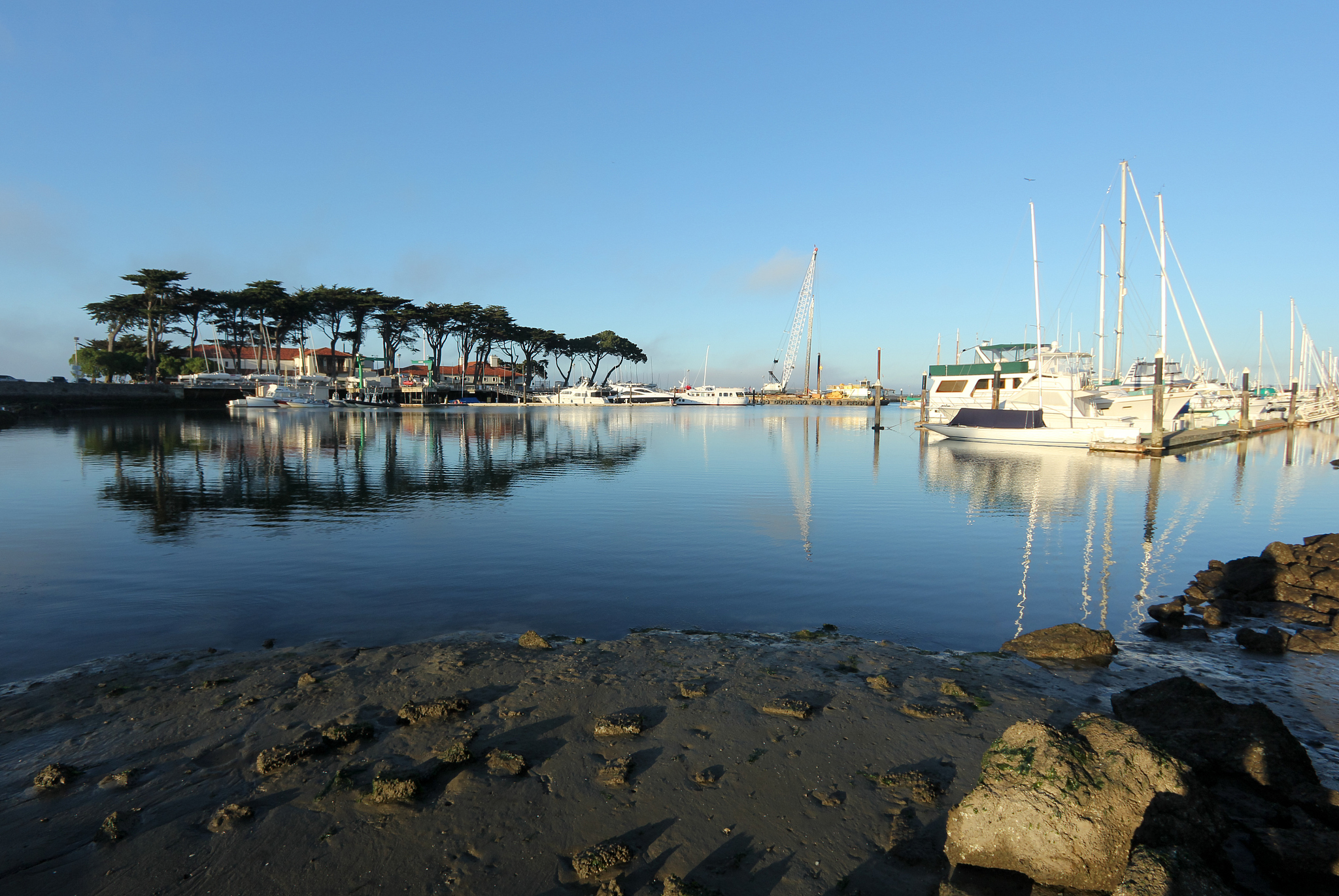 san francisco yacht harbour in california, usa