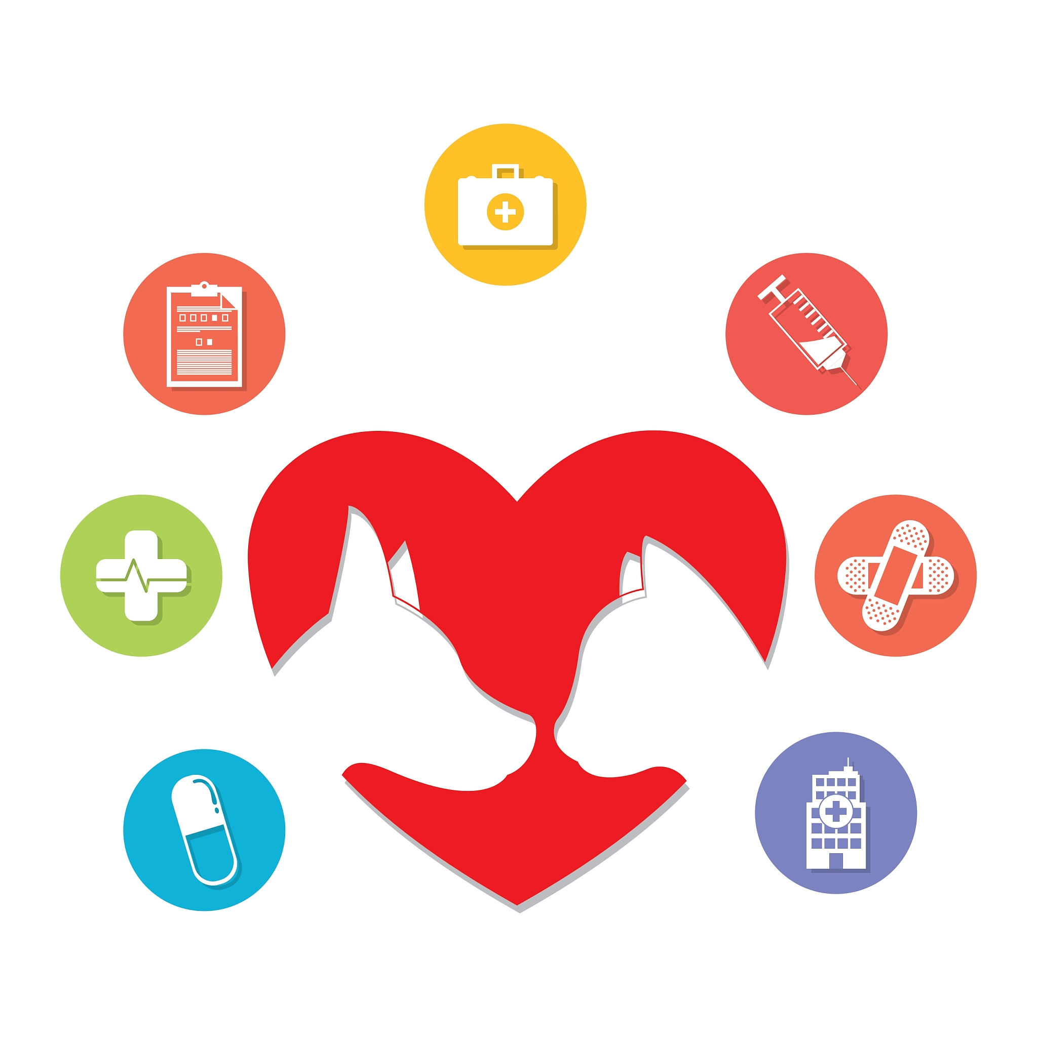 pet care center service icons