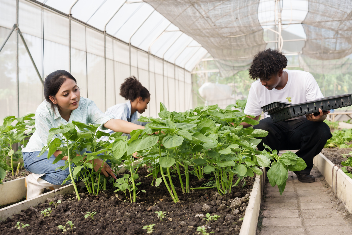 福建农林大学设施农业科学与工程专业：学习内容、就业方向及发展前景