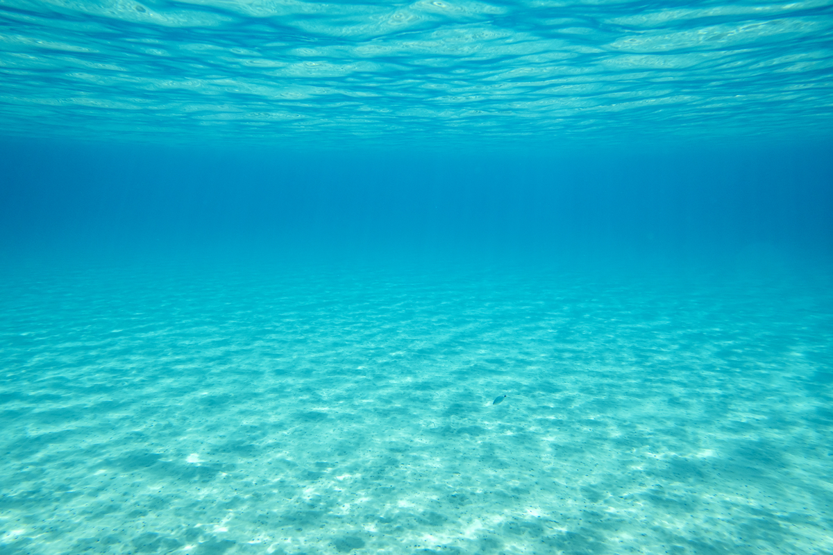 神奇的大海：探索海洋世界与保护海洋环境