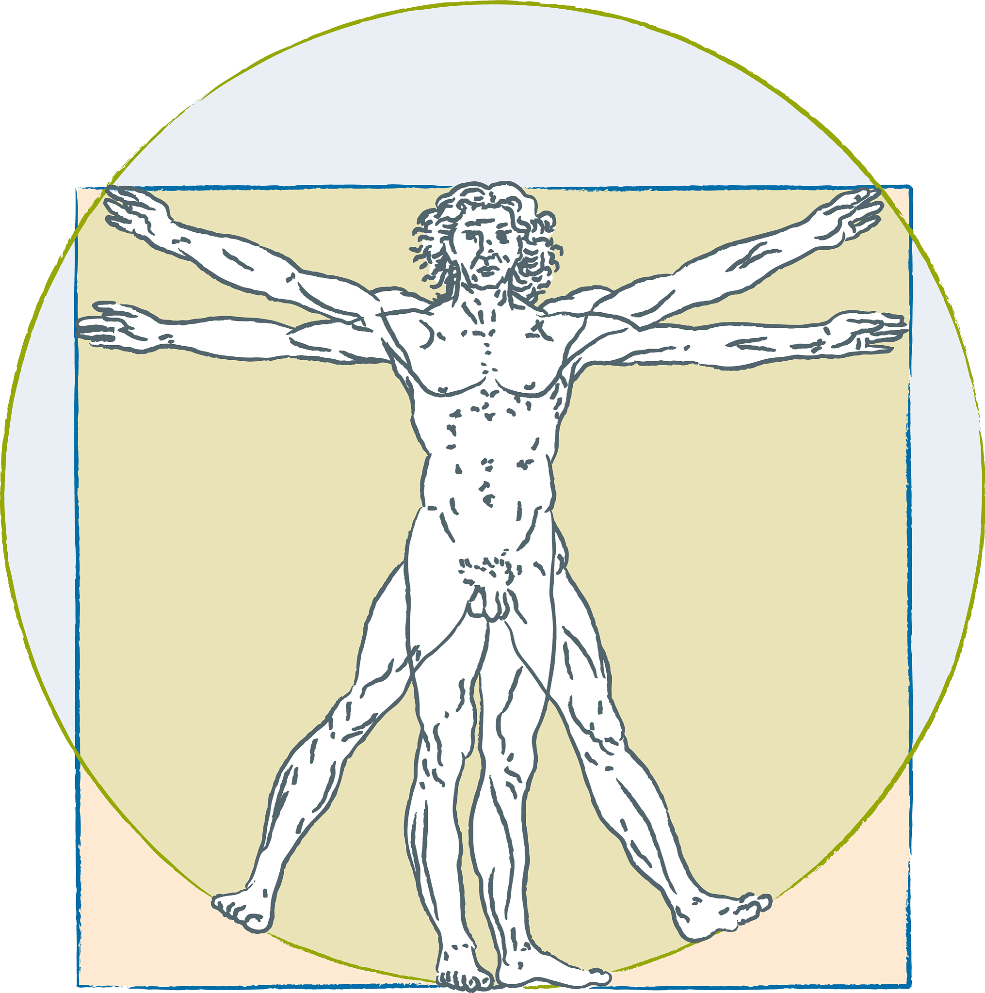 leonardo da vinci vitruvian man human body