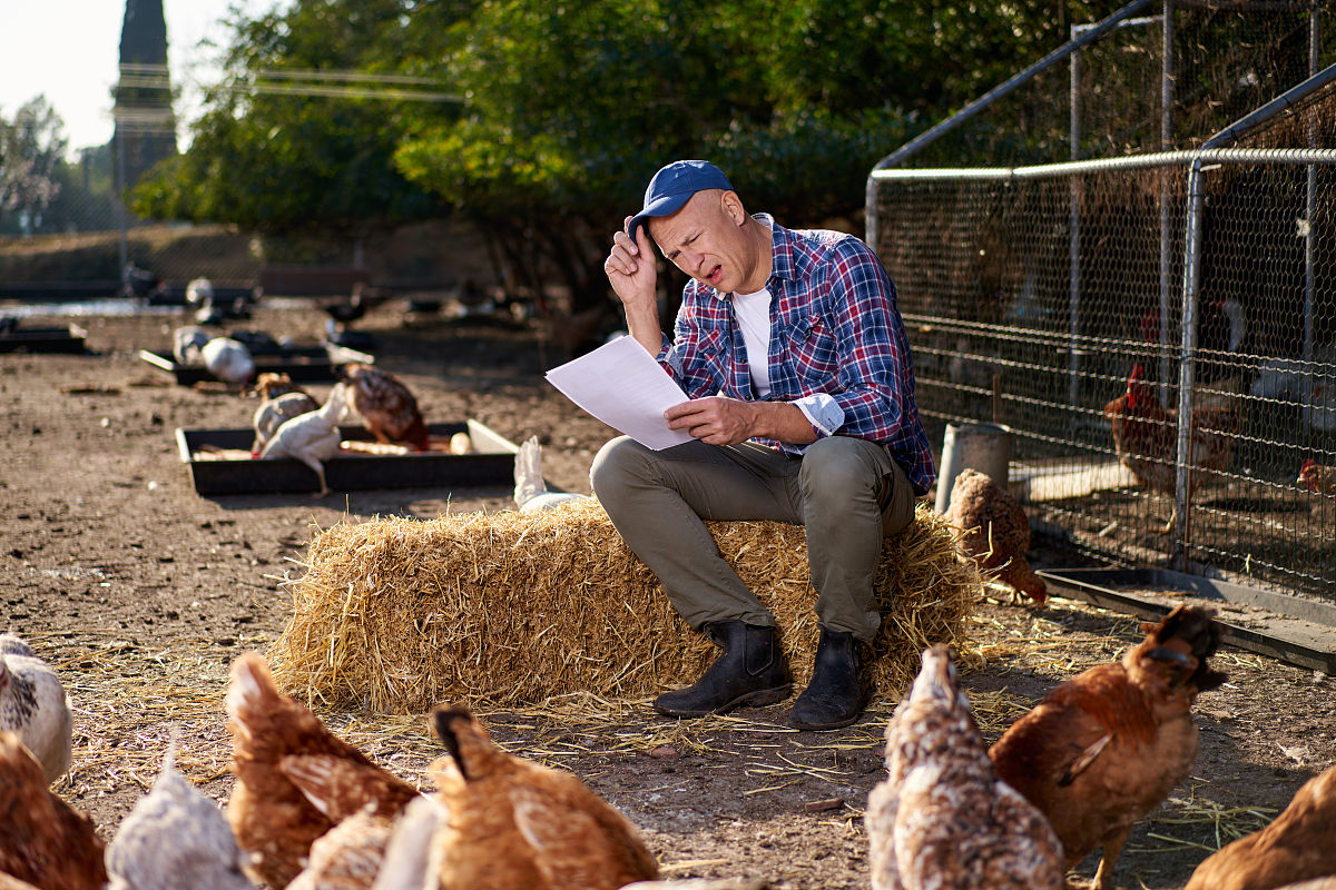 合同委托代理人签字