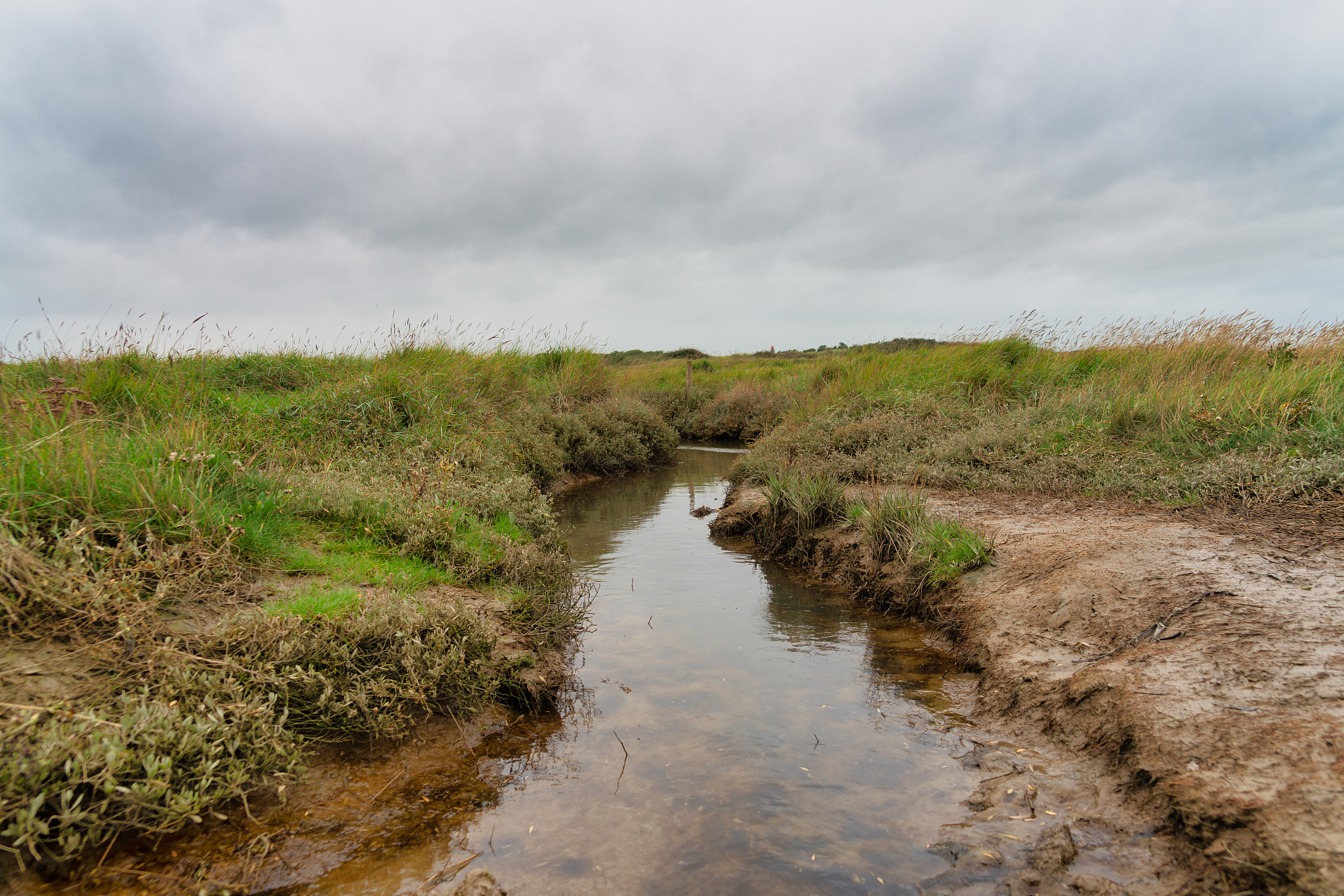 JOURNAL OF WIND ENGINEERING AND INDUSTRIAL AERODYNAMICS 期刊简介：出版商、出版周期、创刊年份和领域地位