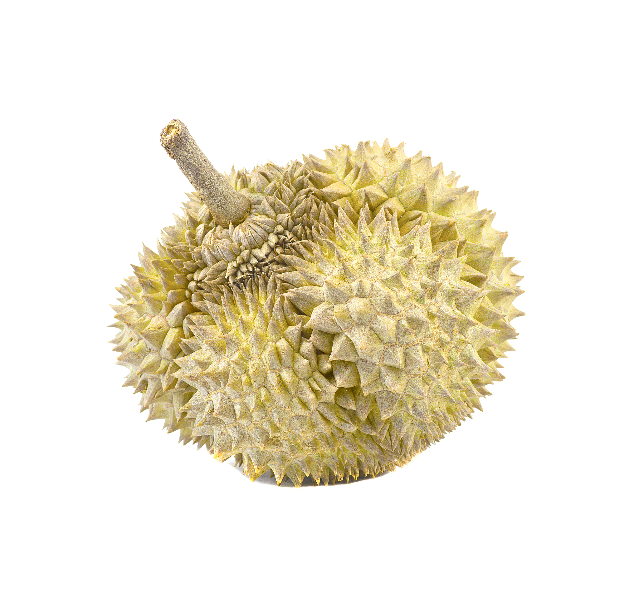 榴莲根部烂了还能吃吗？影响食用吗？