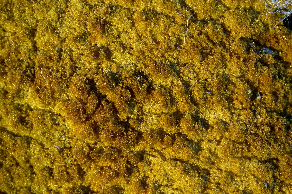 橡胶工艺专业发展前景如何？用