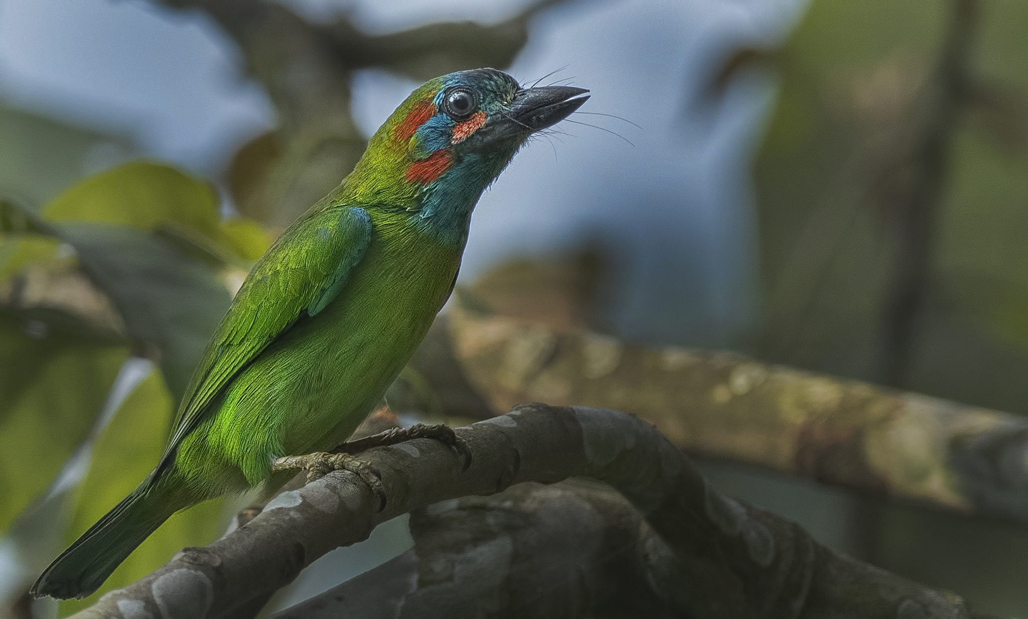 win7 如何查询内存条生产厂商