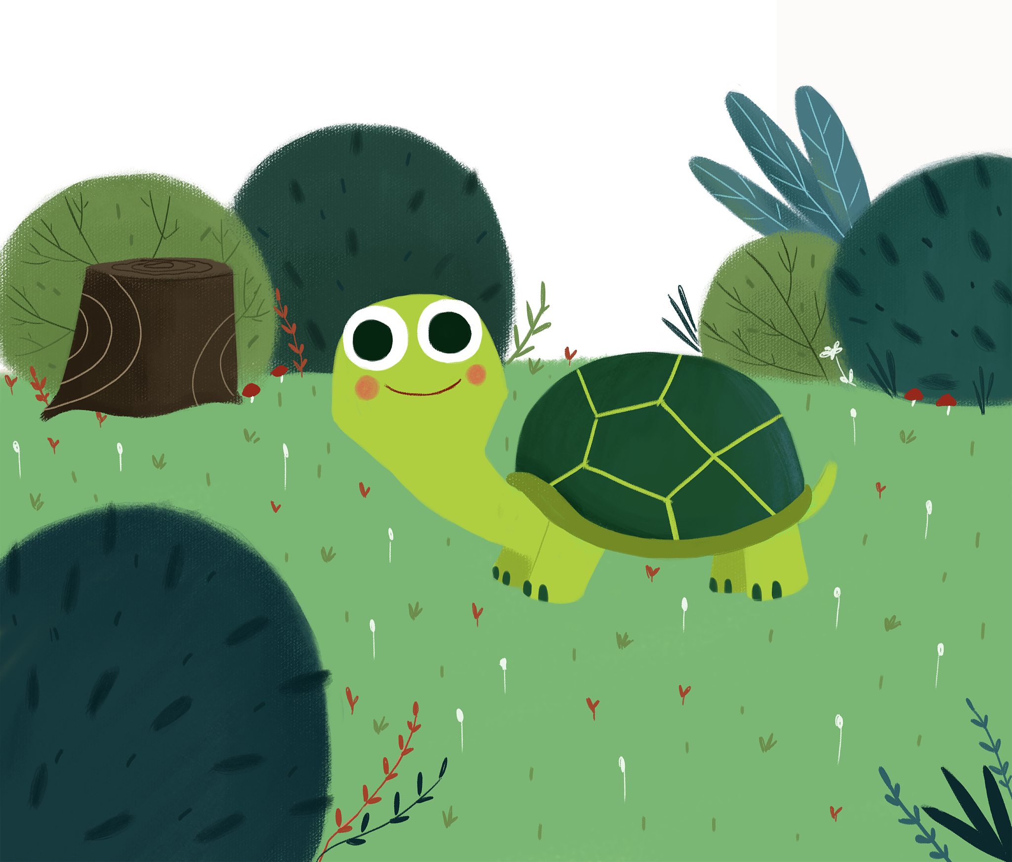 乌龟 悠闲 朋友圈文案