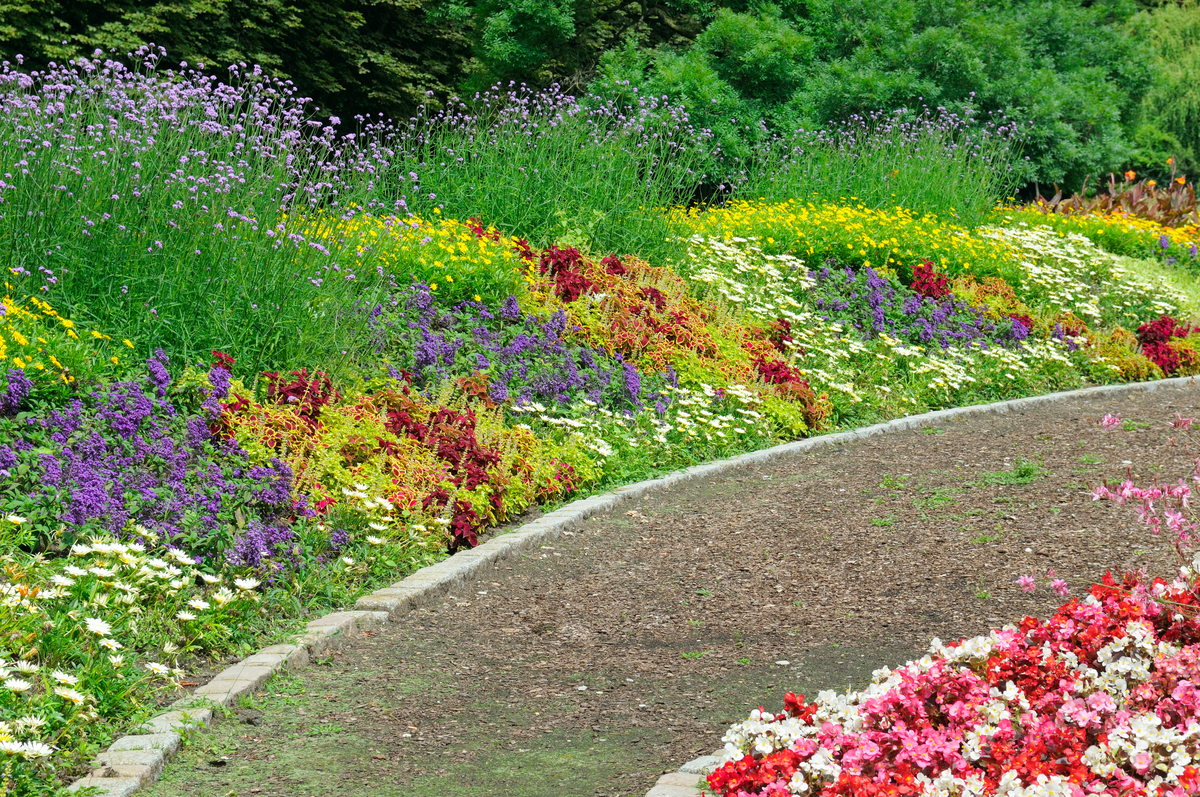 写一篇在公园拍摄绿色植物的vlog文案脚本