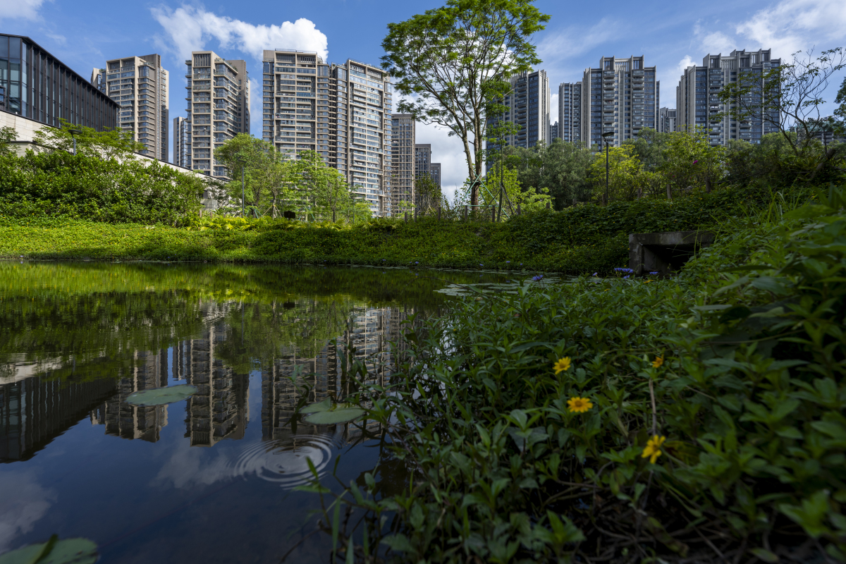 项目名称：天府公园观澜89号房号：3-1-1701朝向：朝北面积：125平总价：210万左右产品类型：住宅交付标准：清水项目卖点建面约90-132㎡主力在售面积✌ 兴隆湖正湖区住宅澎湃城南湖居想象区域内近10000元m2剪刀差项目周边二手房-中铁诺德一号、中交悦湖挂牌价约30000元m2优质教学价值小学属于E片区中学属于C片区：包含天府新区第一小学、天府七中、天府中学、元音中学、湖畔路中学等教育资