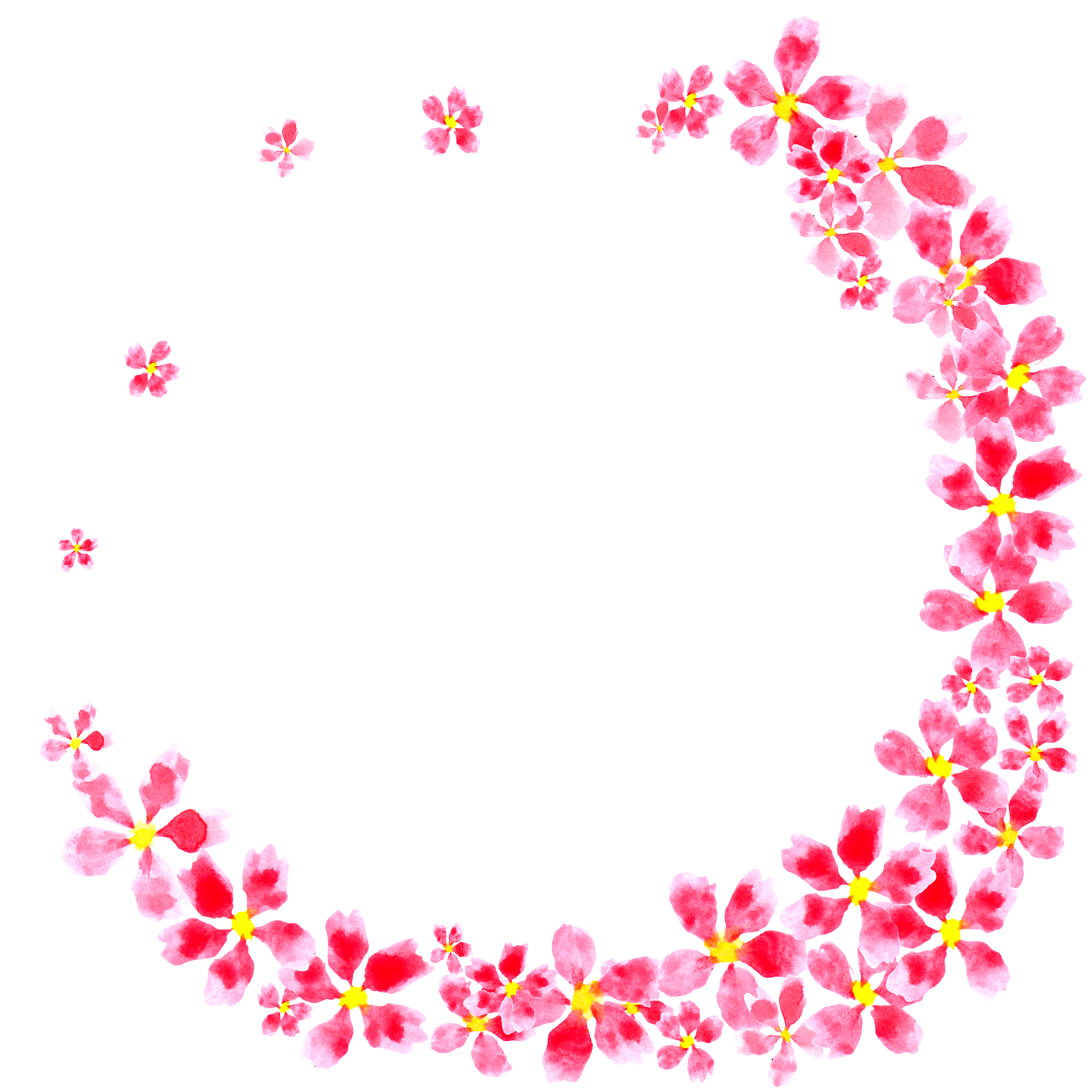 elegant floral collection with pink flowers, hand drawn watercol