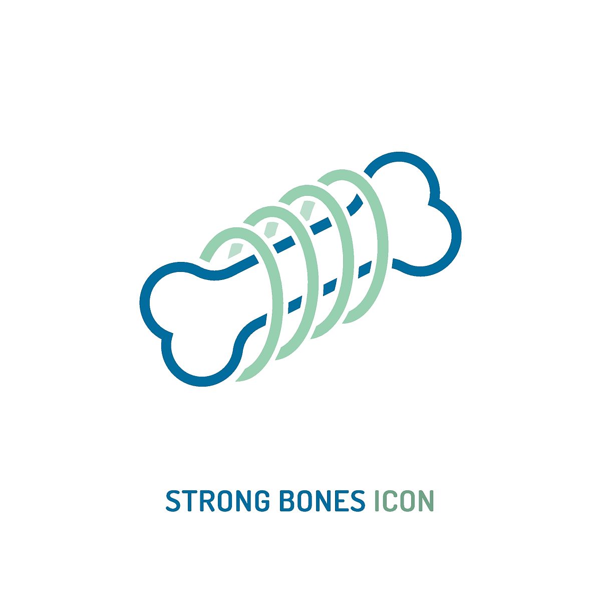 性激素的作用：从性器官发育到骨骼健康