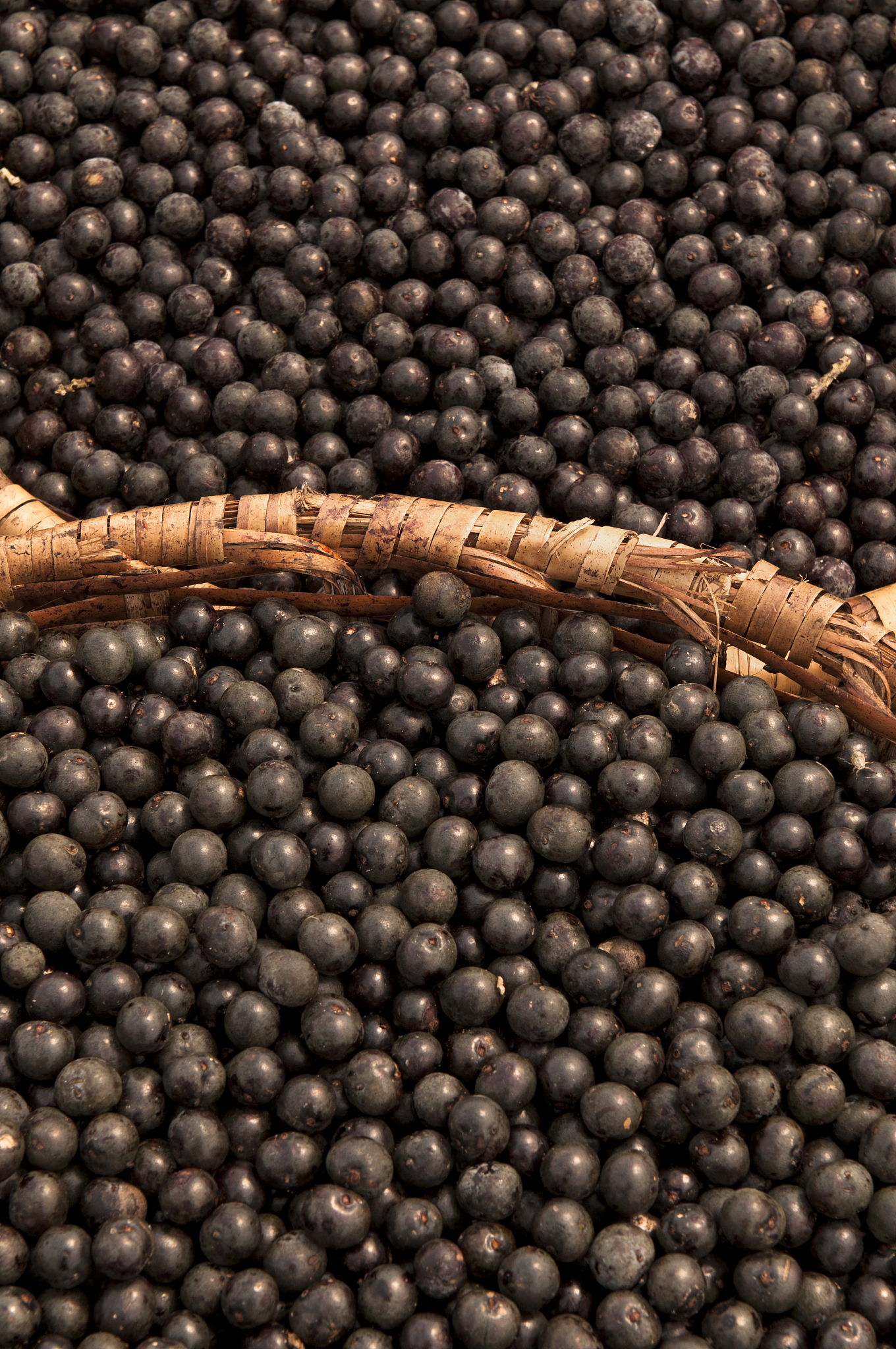 AI 会说中文吗？