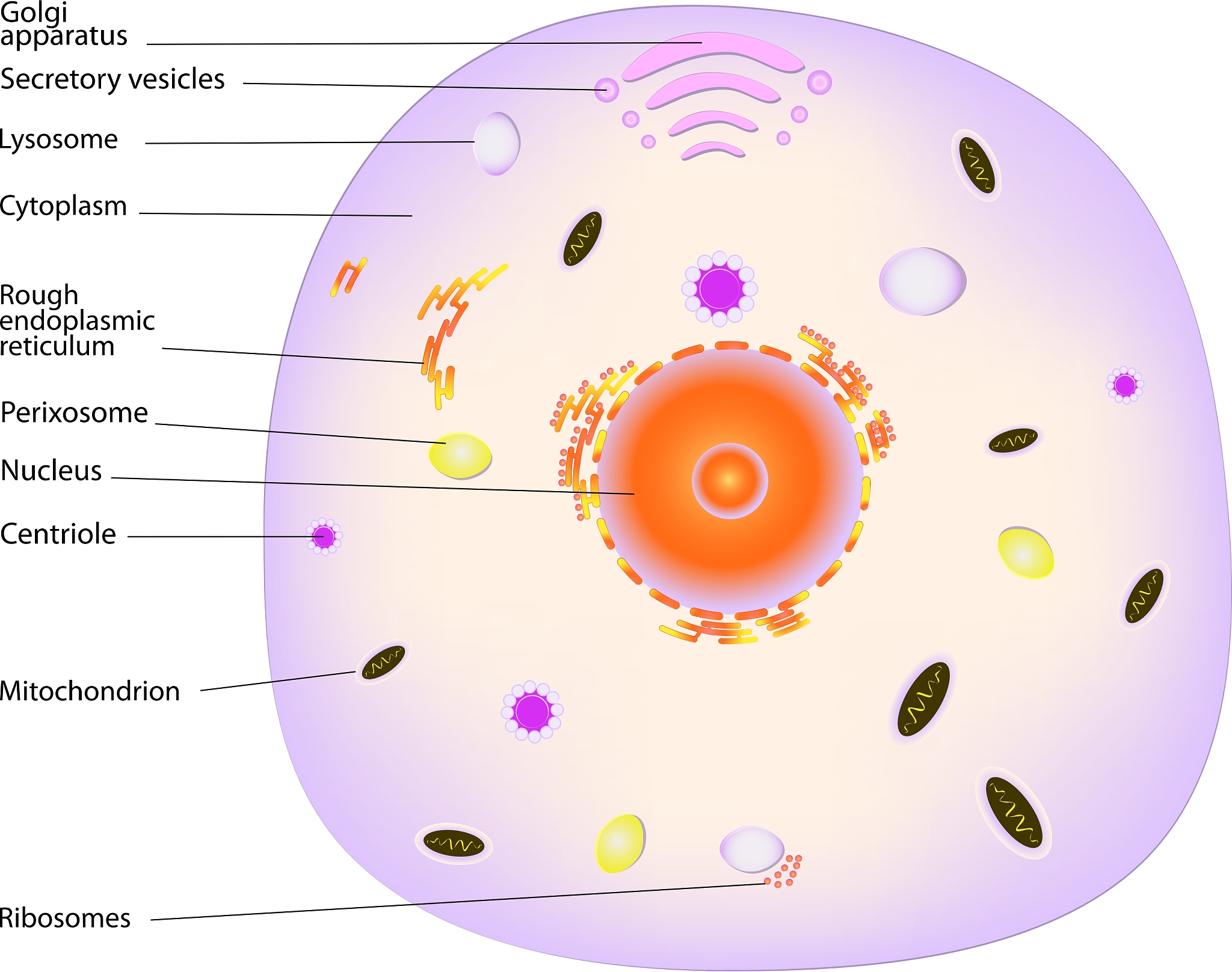 ANIMAL BIOTECHNOLOGY 期刊 - 动物生物技术领域的领先期刊