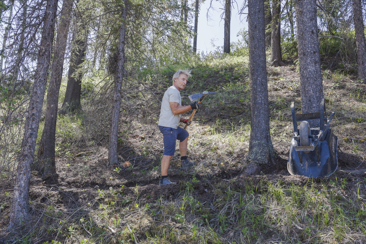 What are the future implications of remote sensing in forest disturbance research