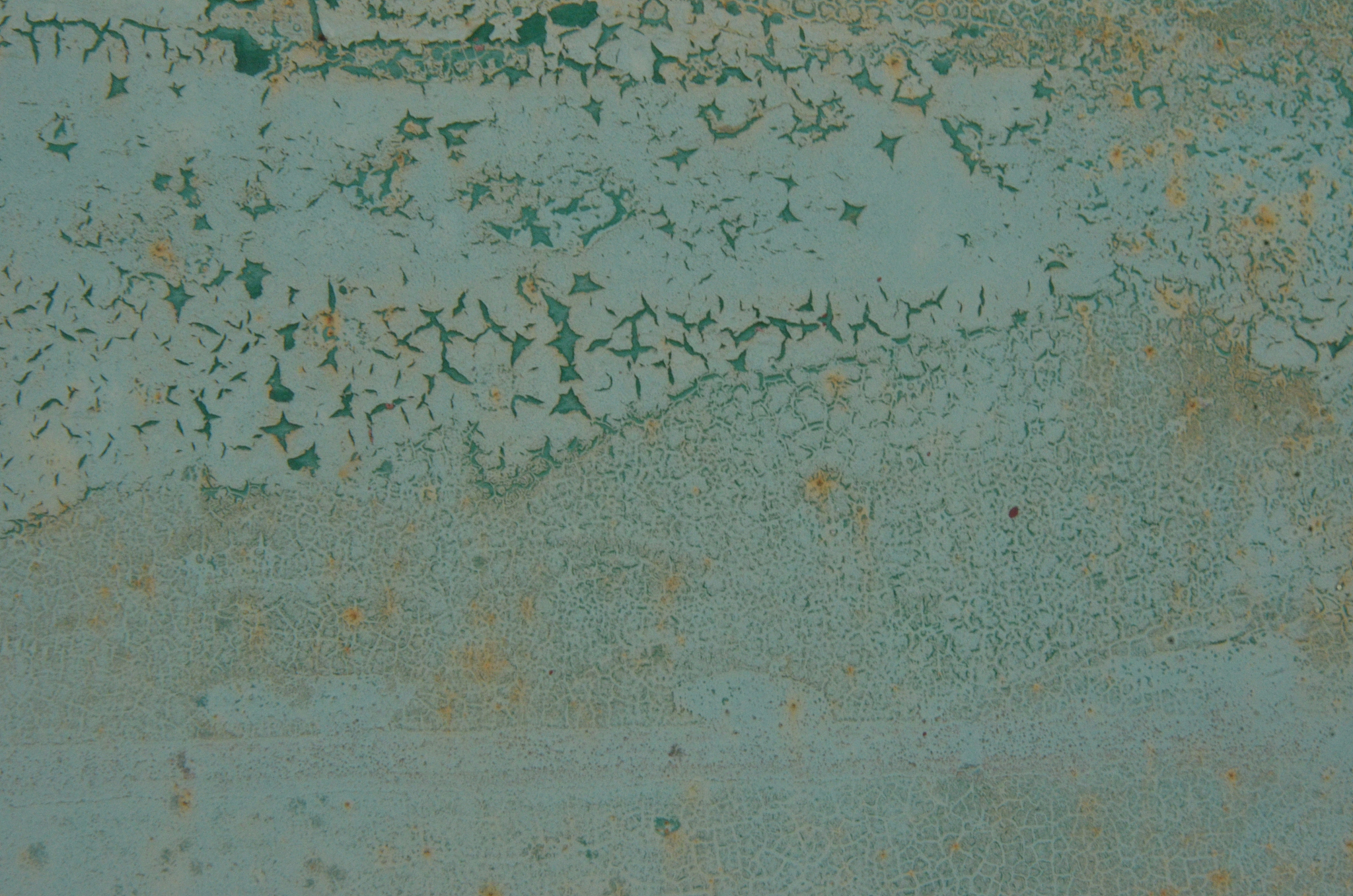 货物损害分析：侵染性病害导致雀斑，预处理不良为主要原因