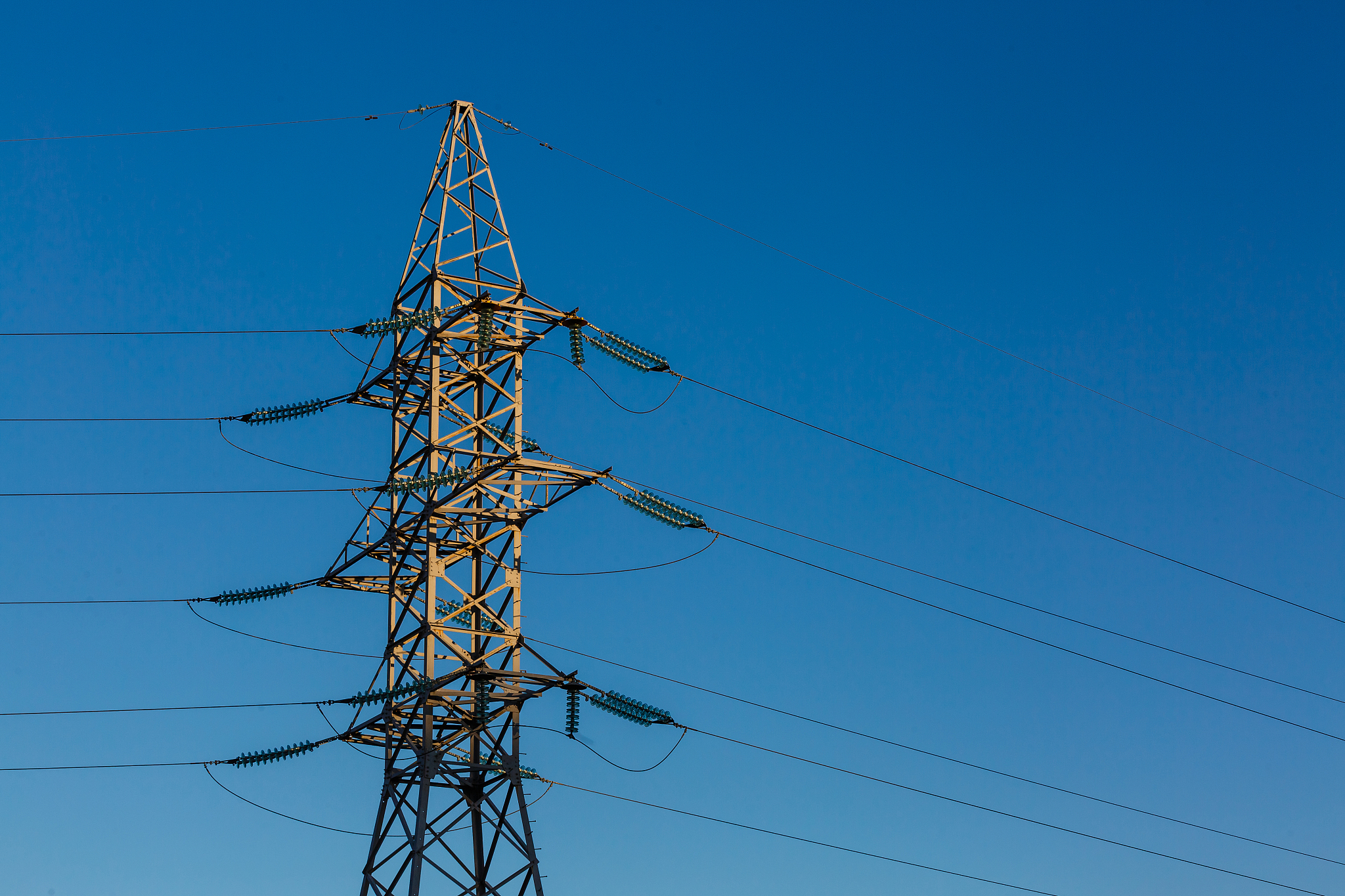 2020上海市公用事业学校招生简章 - 报名指南