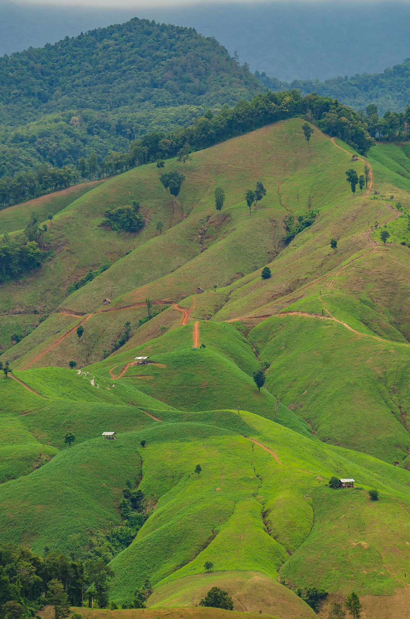 landscape of mountain at nan province in thailand.