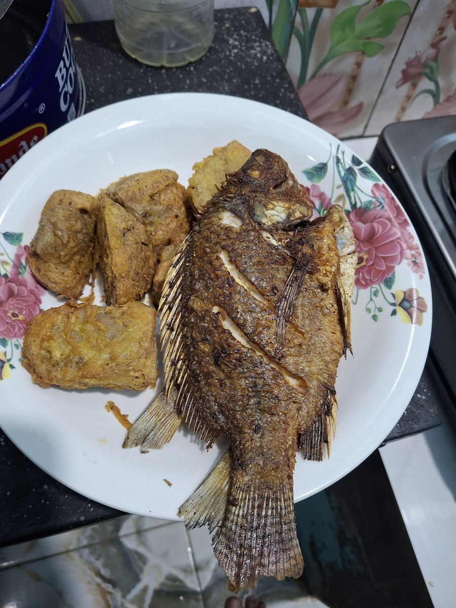 E887ADE9B39CE9B1BCE88F9CE882B4E4BB8BE7BB8D