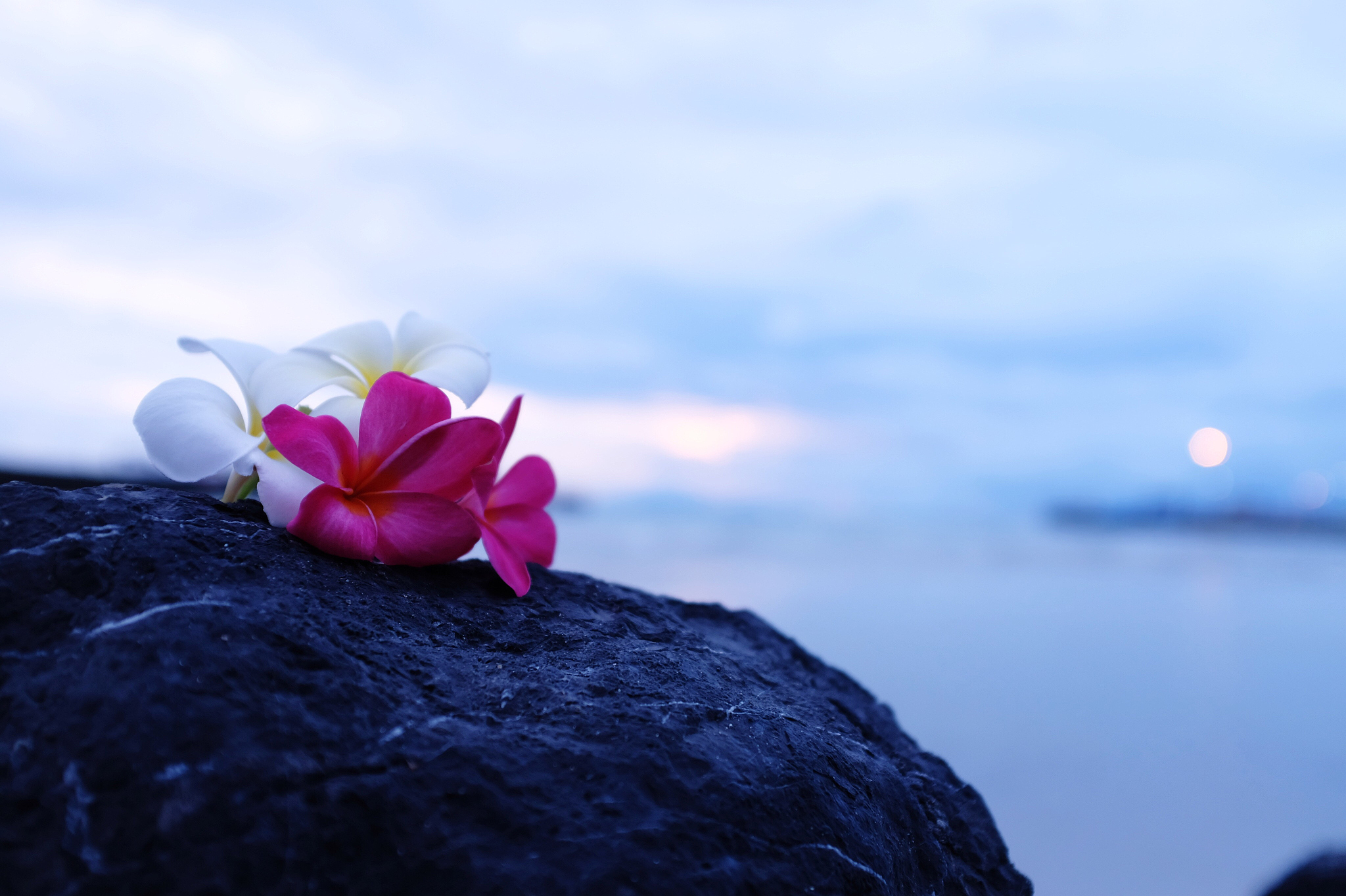 身处困境时能静心思考才能活得从容自在写一篇不少于1000字的作文