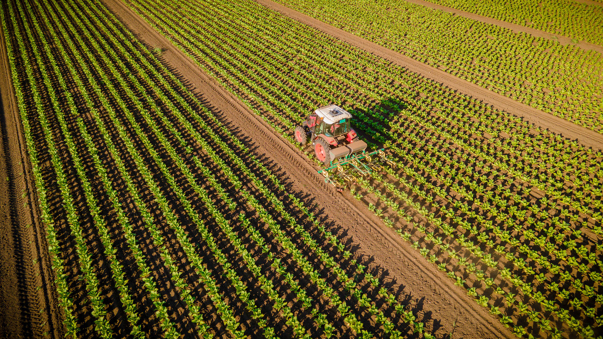 植物保护专业发展前景:机遇与挑战并存 植物保护专业发展前景:机遇与挑战并存