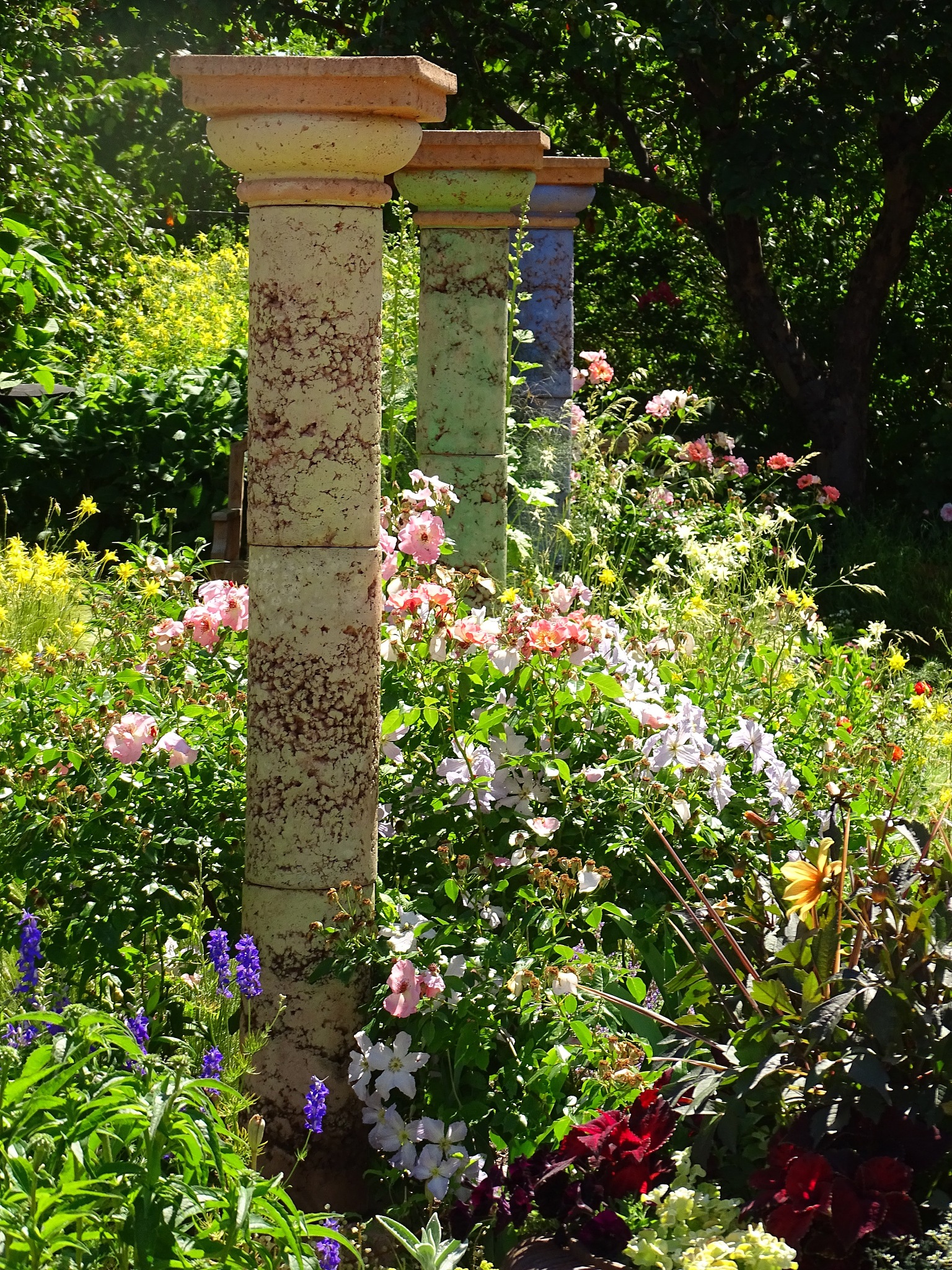 沧州职业技术学院园林技术专业学什么？- 涵盖设计、植物、工程、文化等领域