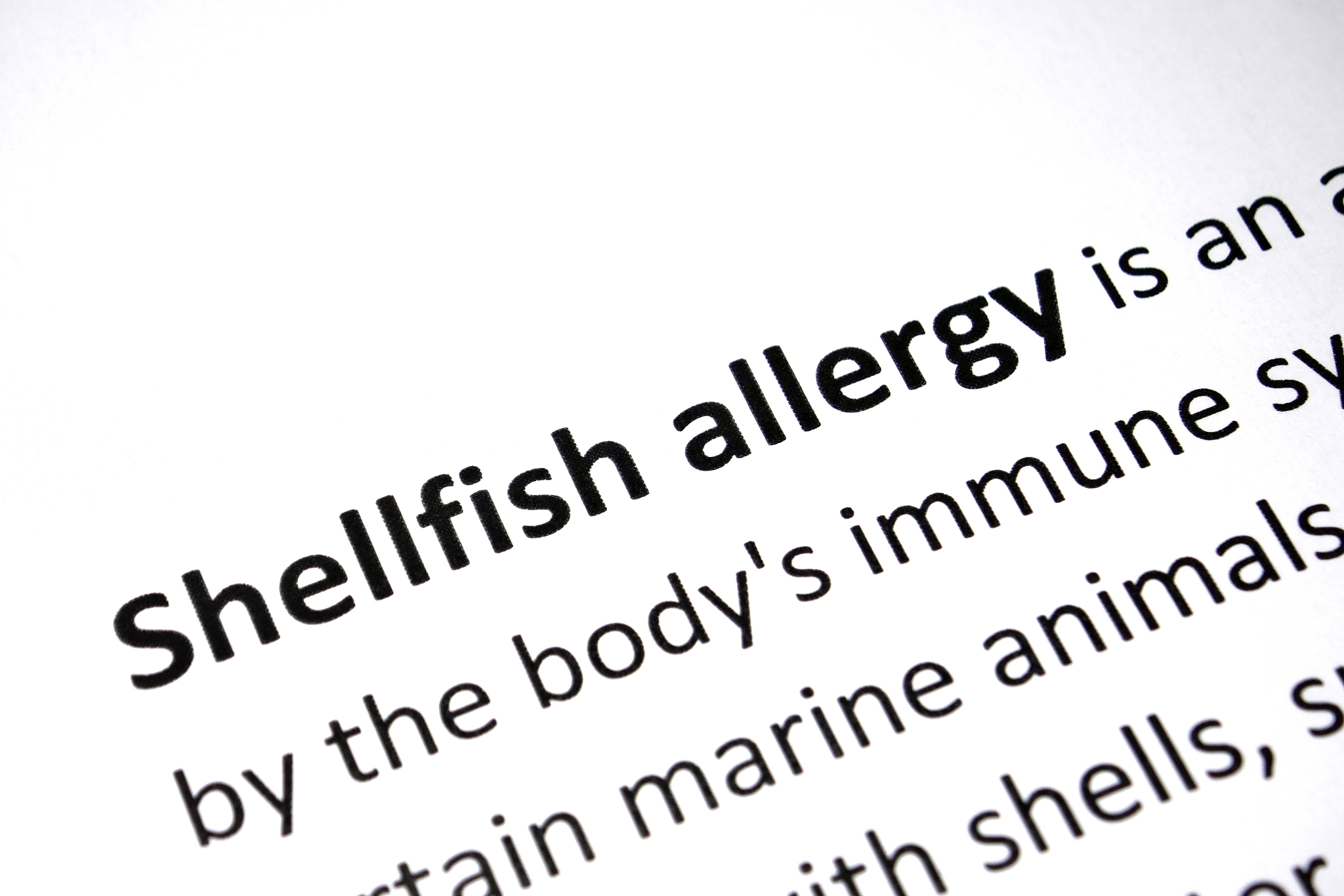 FISH & SHELLFISH IMMUNOLOGY 期刊: 研究领域, 出版社, 创刊时间, 出版周期
