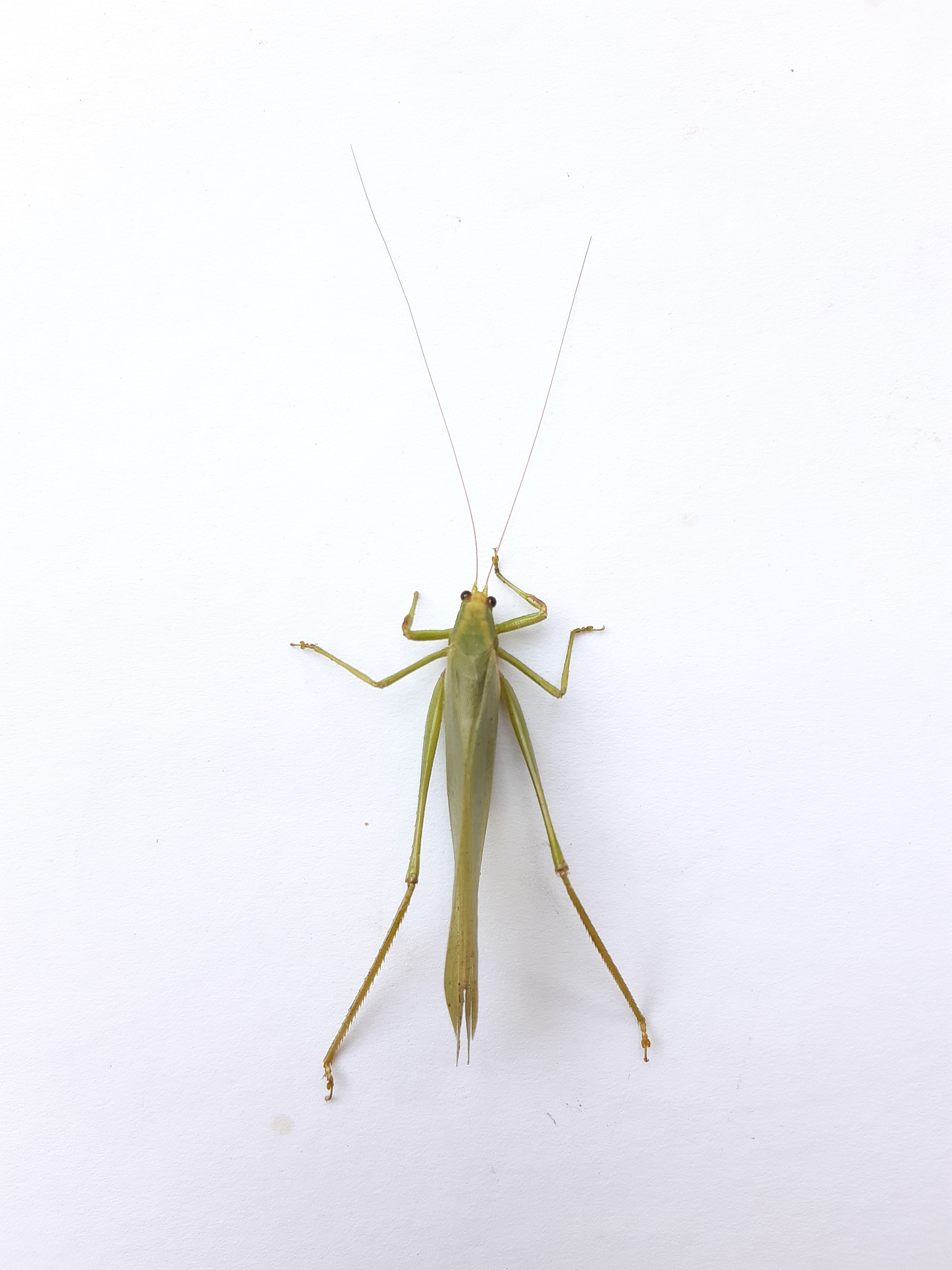 贵阳轻轨专业学校口碑好？未来发展前景分析！