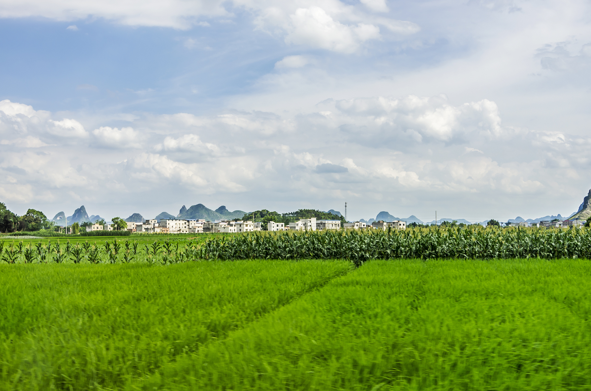 谈谈你对走好中国式现代化之路的理解和认识写一篇2000字的论文开头要有300字的摘要和五个关键词文章内容要有引用文献文献需要在论文中标注出来文献需列在结尾处