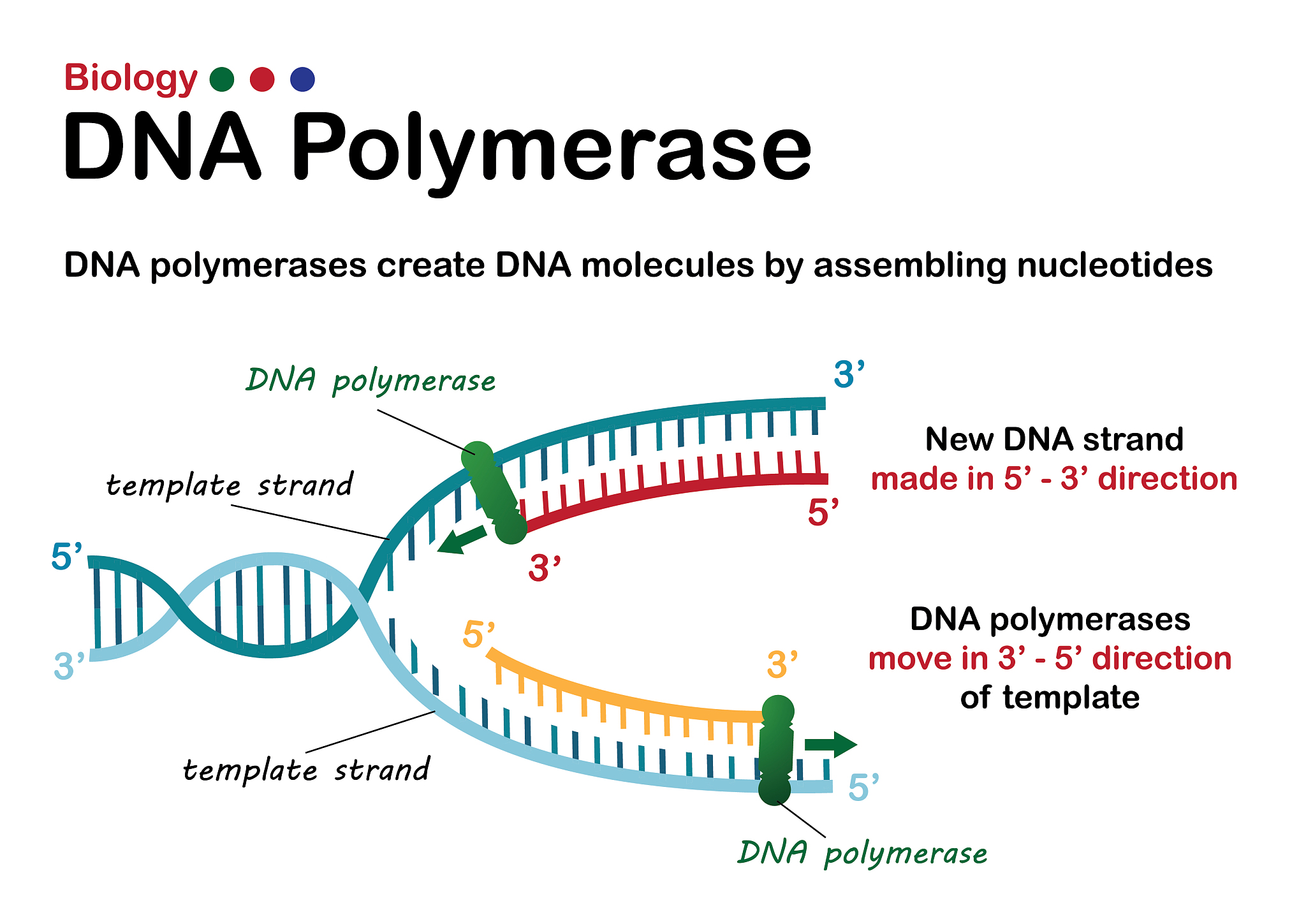 帮我翻译：在D_30m vs D_CK比较组发现2871个差异表达基因其中2033个上调表达基因和838个下调基因。