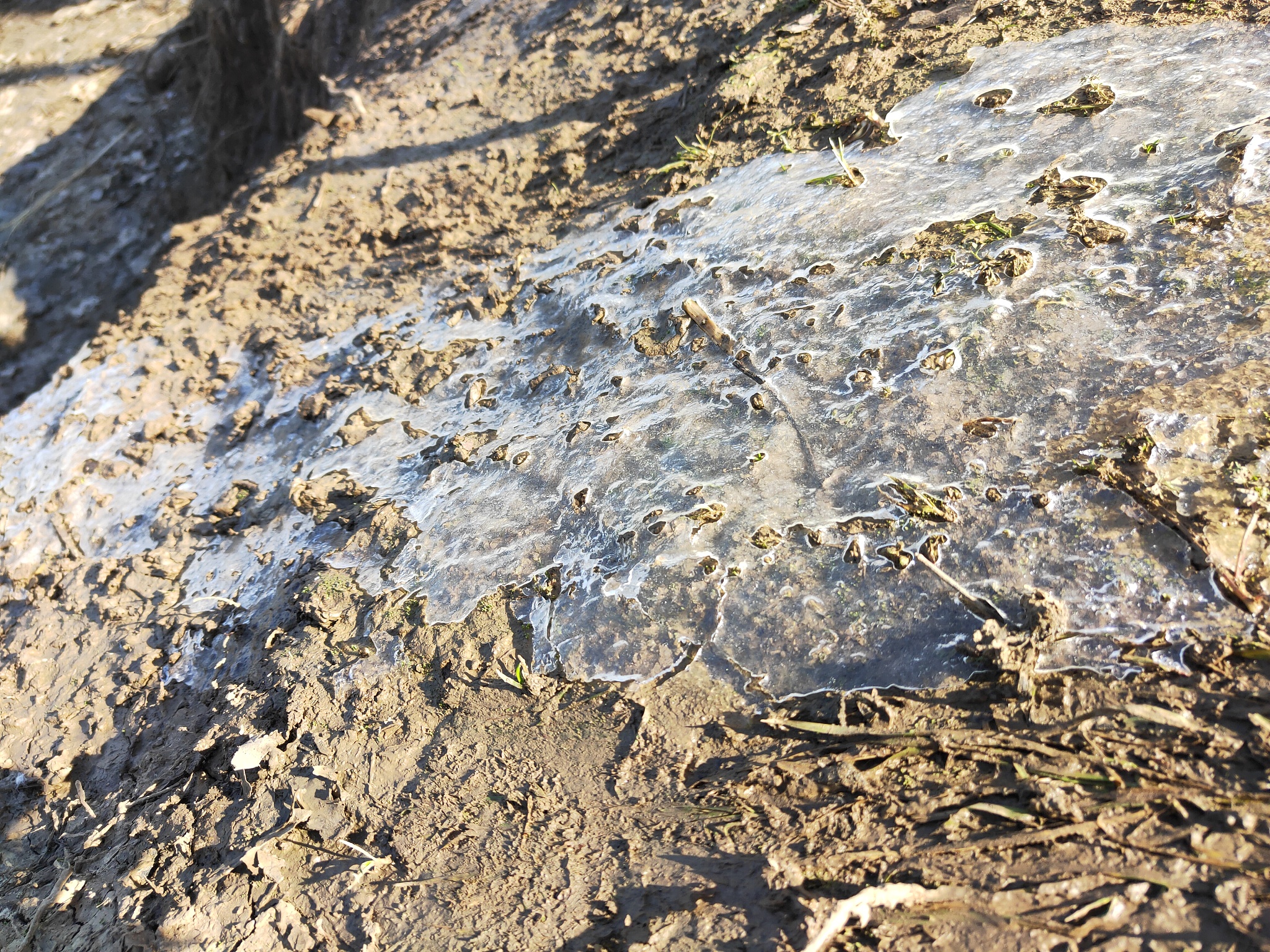 强降雨为何能导致粉质黏土积水