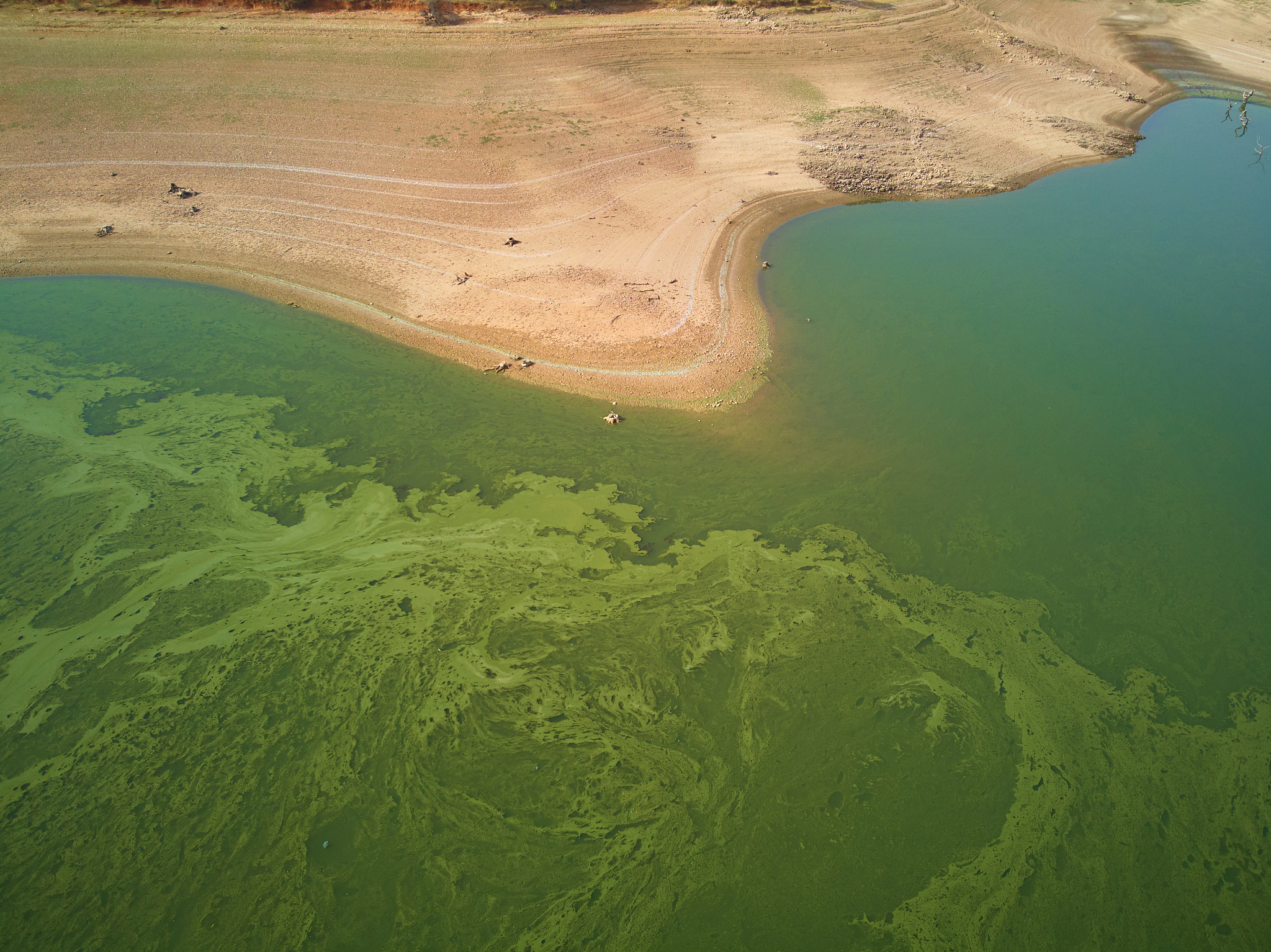 黄河流域水污染治理：多措并举，彻底解决水污染问题