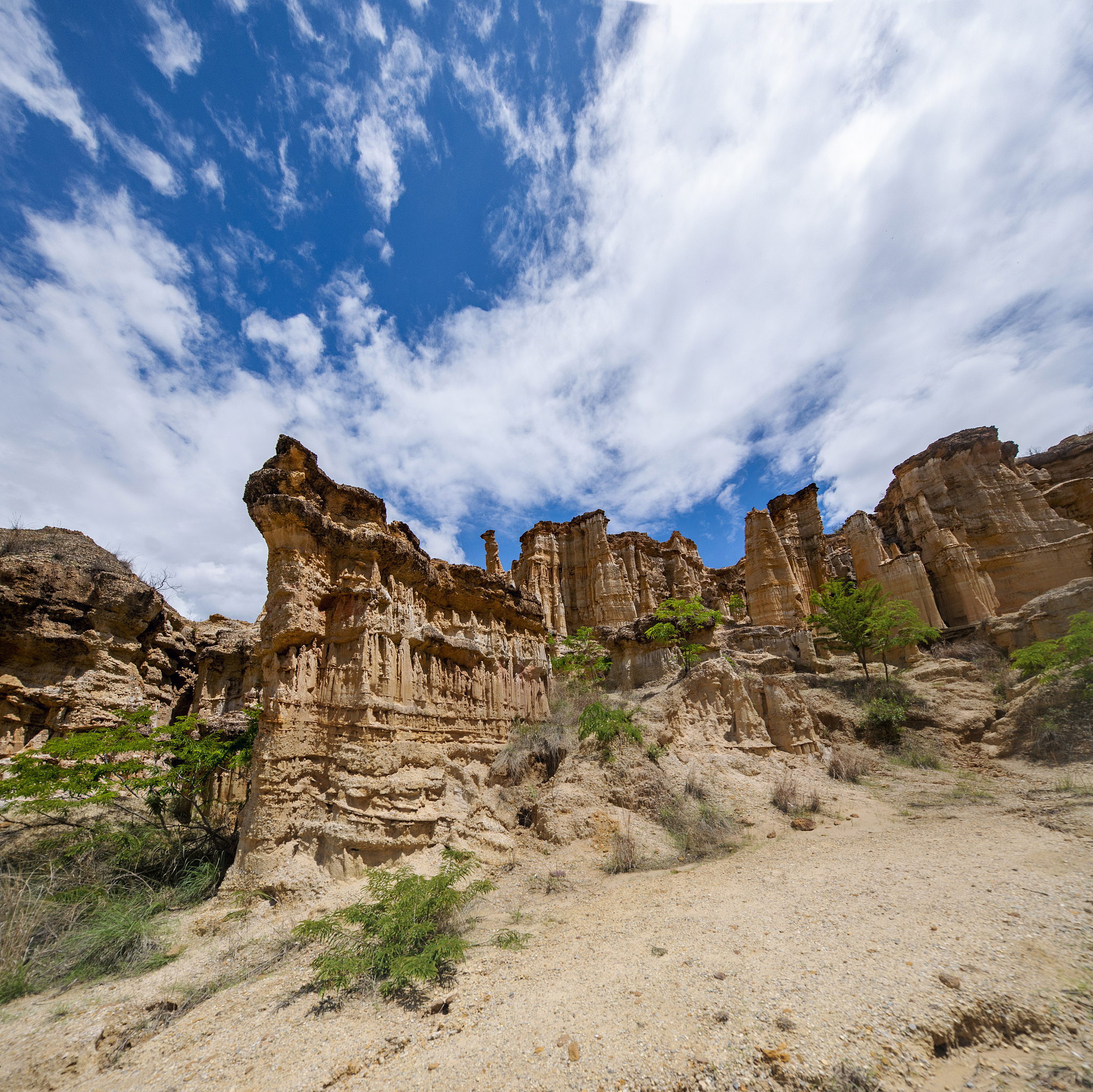 云南经贸外事职业学院2023年还有高职扩招吗？