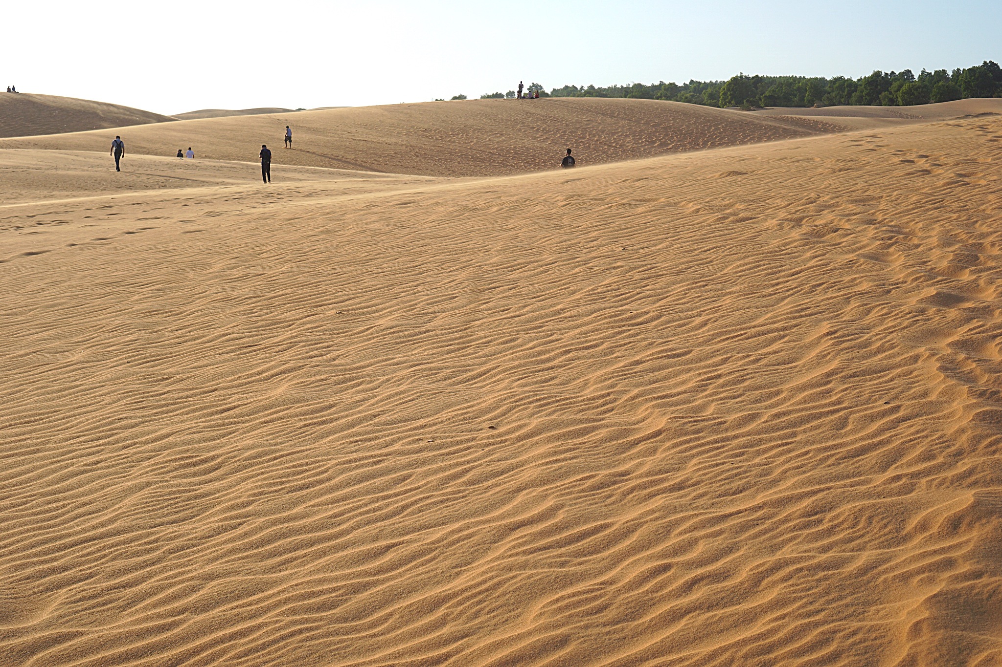 scenic view of desert against sky