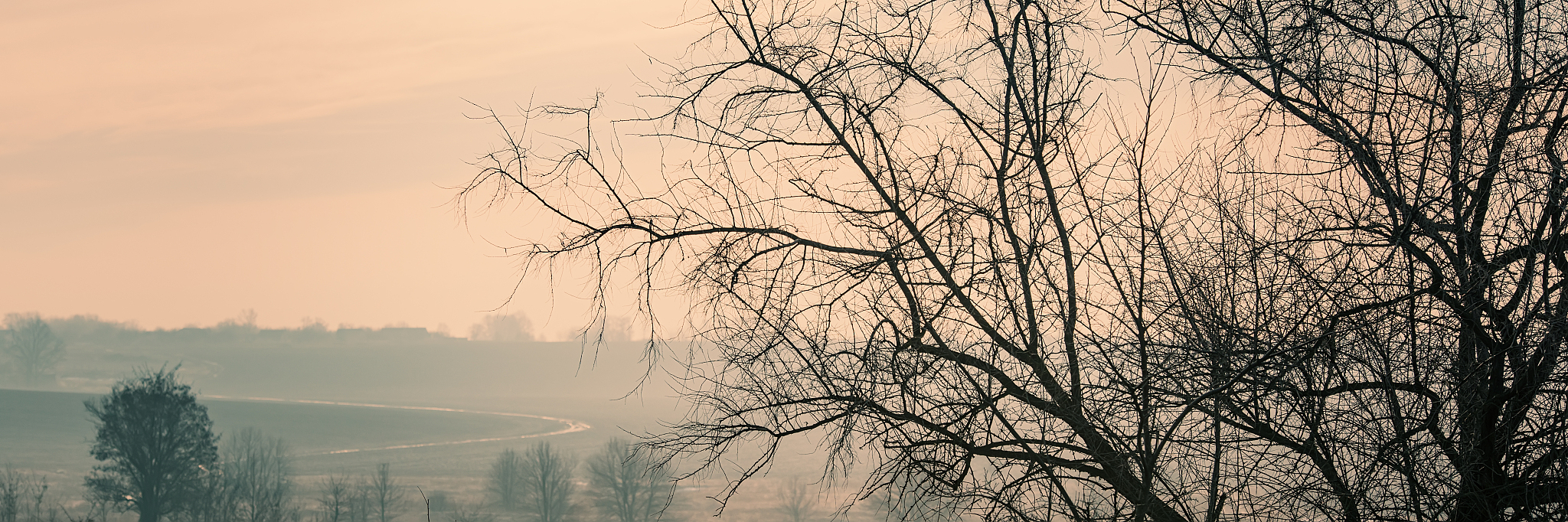 2019年职业技术学校的什么专业好