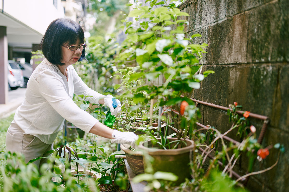 曲靖农校2019年全日制五年制大学招生信息