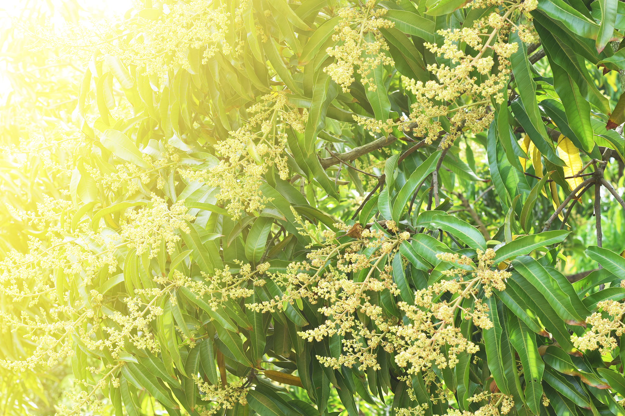 吉林长春市农业学校招生简章就业率如何