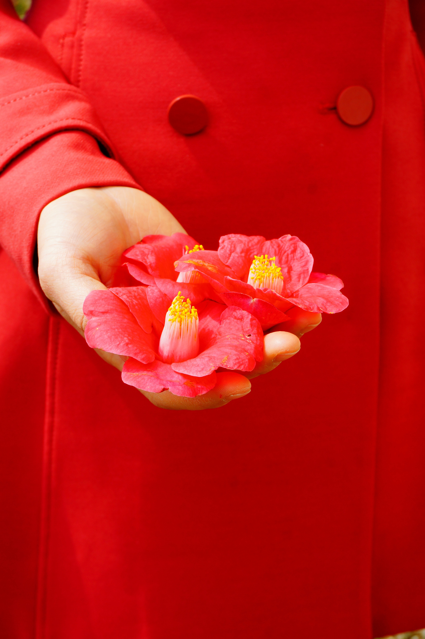 写一个古风红色系列的文案