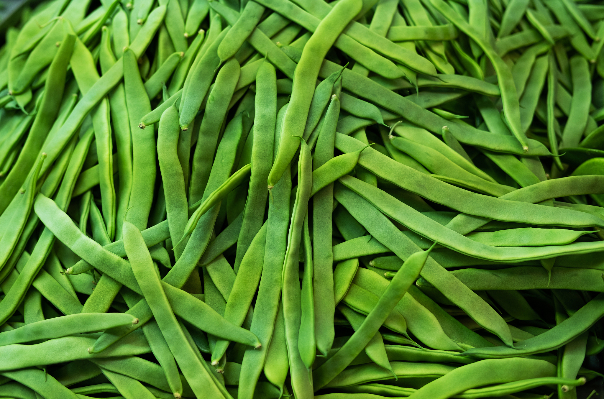 山西运城农业职业技术学院食品营养与检测专业怎么样？好学吗？