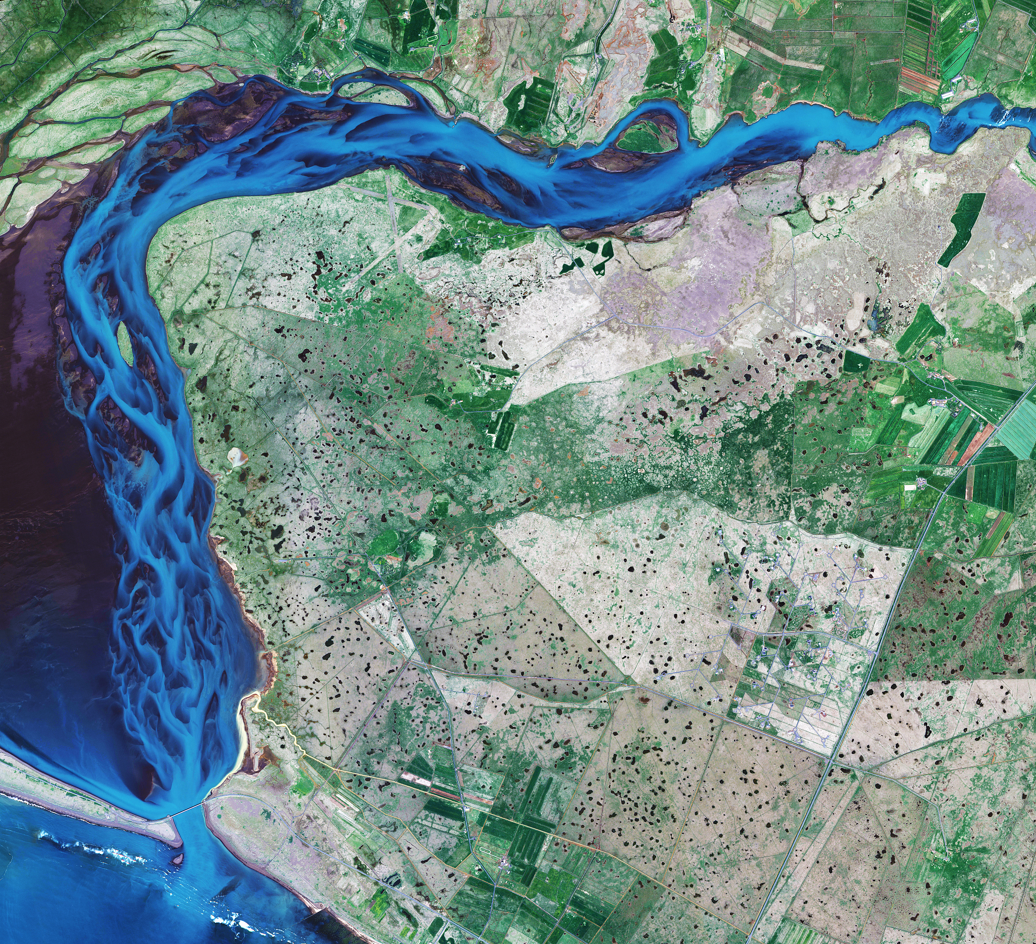 遥感技术助力湿地生态系统研究：快速、精确、全面